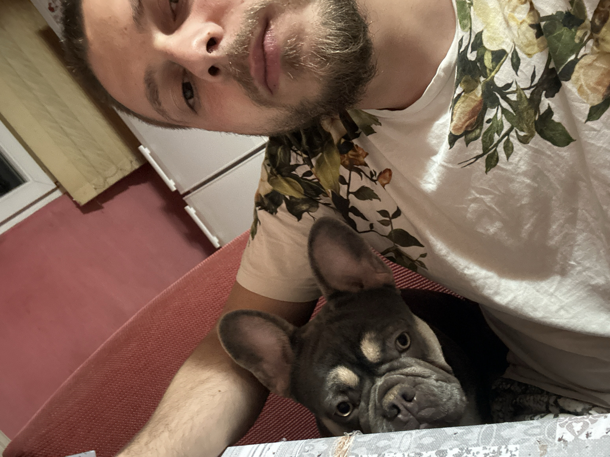 A close-up indoor shot captures a man and a French Bulldog in what appears to be a shared, relaxed moment. The man is positioned in the upper portion of the frame, looking towards the camera. He has a beard and mustache and is wearing a white t-shirt adorned with a floral pattern featuring green leaves and light-colored flowers, possibly roses. His face is angled, suggesting he might be lying down or leaning back while taking the picture.
Below and to the right of the man, a French Bulldog peeks out, its head and upper body visible. The dog has dark grey fur with lighter tan markings around its eyes and snout, and its large ears are perked. It looks directly at the camera with an alert and curious expression. The dog appears to be nestled next to or under the man, possibly on a sofa or bed.
The background shows elements of an indoor setting: a reddish-brown textured surface, likely furniture or a blanket, in the mid-ground, and lighter-colored walls or furniture in the top left. The bottom foreground features a light-colored, patterned textile, possibly a tablecloth or bedspread. The lighting suggests an indoor setting, possibly evening. There is no visible text.