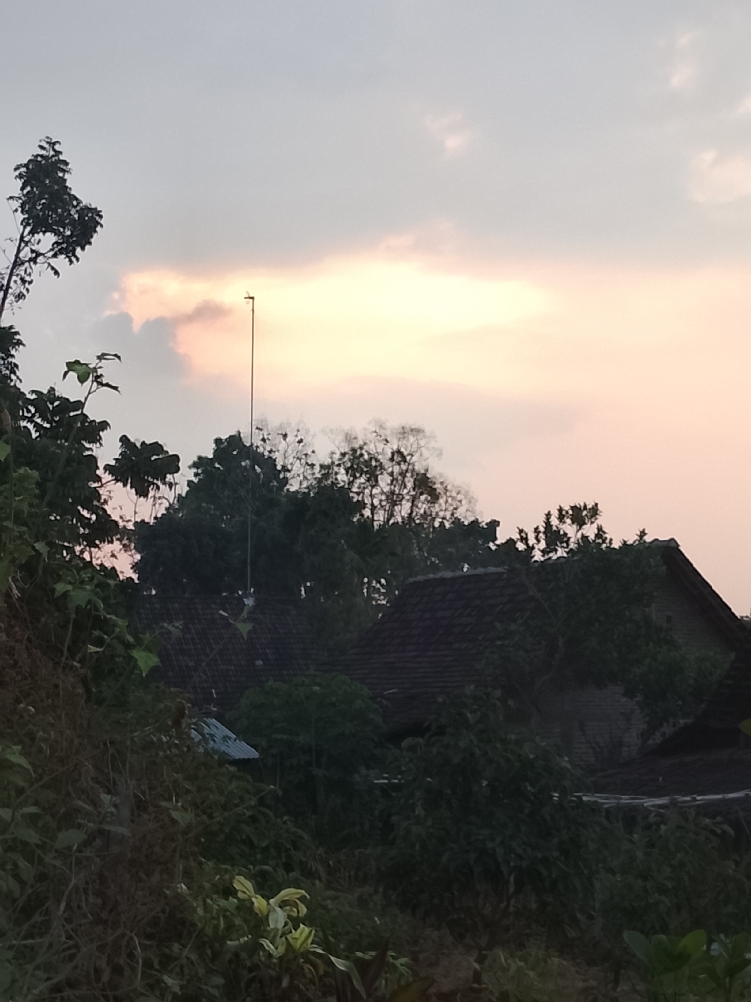 The image captures a residential area in Dawung, Indonesia, at dusk. The sky is a gradient of soft pink and pale gray, with a bright band of light near the horizon suggesting the setting sun. In the foreground, dense foliage and trees dominate, with dark green leaves and branches partially obscuring the view. A tall, thin antenna with a small object at its apex stands out against the sky, positioned behind the trees. Below the foliage, rooftops of houses with dark tiles are visible, hinting at the presence of human dwellings nestled within the natural landscape. The overall impression is one of a tranquil, rural setting as day transitions into night.