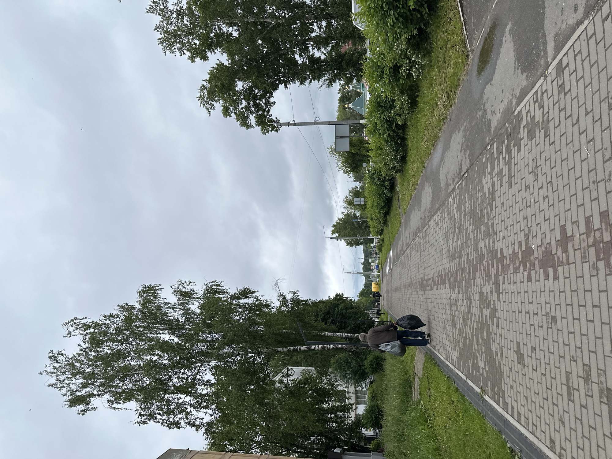 This image captures a street scene in Chaikovsky, Russia, under an overcast sky. A person, viewed from behind, walks away from the camera along a paved pedestrian walkway. This walkway is constructed from light grey rectangular pavers, displaying several dark, wet patches. The individual wears a dark jacket and dark trousers, carrying two large bags: one light grey or white bag slung over their left shoulder and a black bag held in their right hand.
To the immediate left of the paved walkway, an unmaintained strip of green grass extends before a line of tall birch trees, characterized by white bark and dense green leaves. Partially visible behind these trees on the left is a multi-story building with light-colored exterior walls.
To the immediate right of the paved walkway, a narrower asphalt path is present, featuring a distinct puddle. Beyond this path, a continuous hedge of green bushes, some bearing small white flowers, parallels the walkway. In the middle ground, situated to the right, the green dome and golden cupola of a church are visible amidst the foliage. Utility poles with overhead wires are also prominent in the mid-ground.
The distant view along the walkway shows other pedestrians and parked vehicles. The sky is uniformly covered with thick, grey clouds, and a small, dark bird is captured in flight in the upper left portion of the frame.