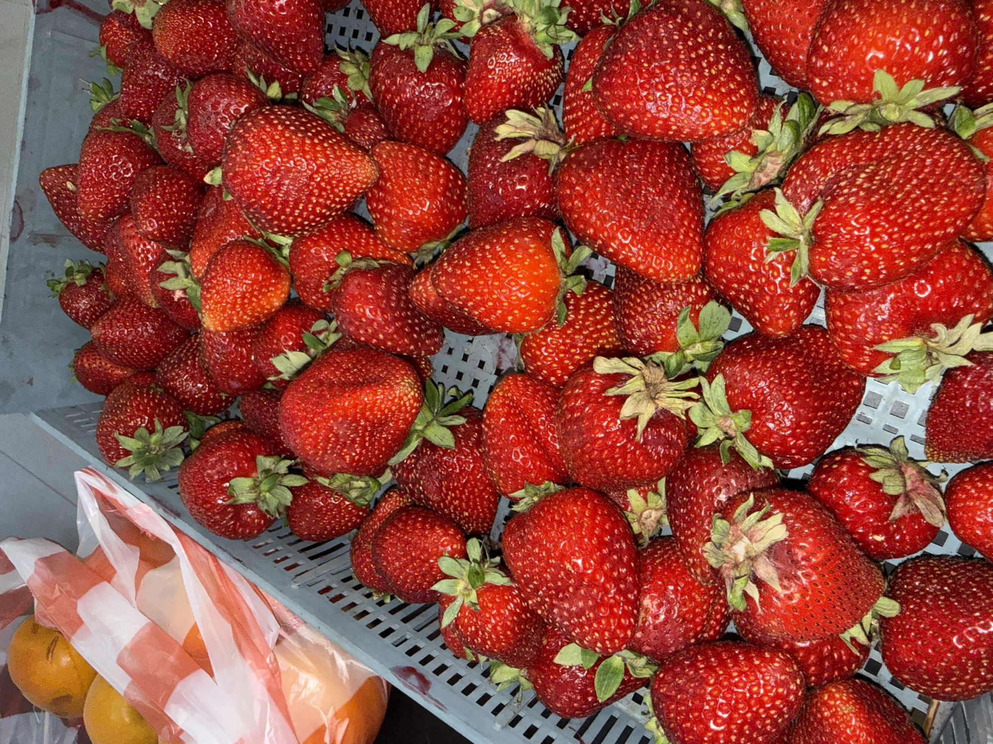 The image shows a close-up, high-angle view of a light blue plastic crate filled with ripe strawberries. The strawberries are a vibrant red color with visible seeds and green stems. Some strawberries are larger and more prominent than others, with slightly wrinkled skin. In the background, on the left side of the image, there is a red and white striped plastic bag containing round, orange fruits, possibly oranges or mandarins. The crate and the produce are likely at a market or roadside stand. The location of Trud, Bulgaria is not visually represented in the image.