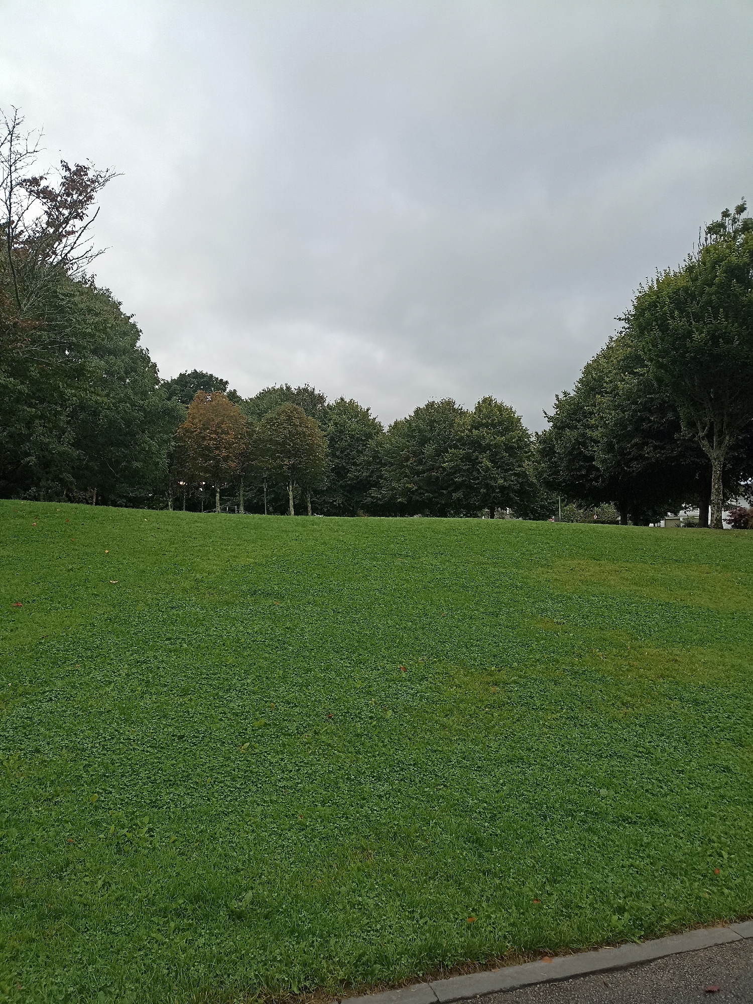A wide shot captures a lush green lawn in a park, sloping upwards towards a line of trees under an overcast sky. The grass is densely populated and well-maintained, with a hint of autumnal color appearing on some of the leaves of the trees. The trees are a mix of deciduous and evergreen, with some showing hints of yellow and brown foliage. In the distance, behind the trees, glimpses of buildings and possibly a road can be seen. The overall impression is one of a tranquil, natural setting within an urban environment. This park appears to be located in Galway, Ireland, given the typical weather conditions and flora.
