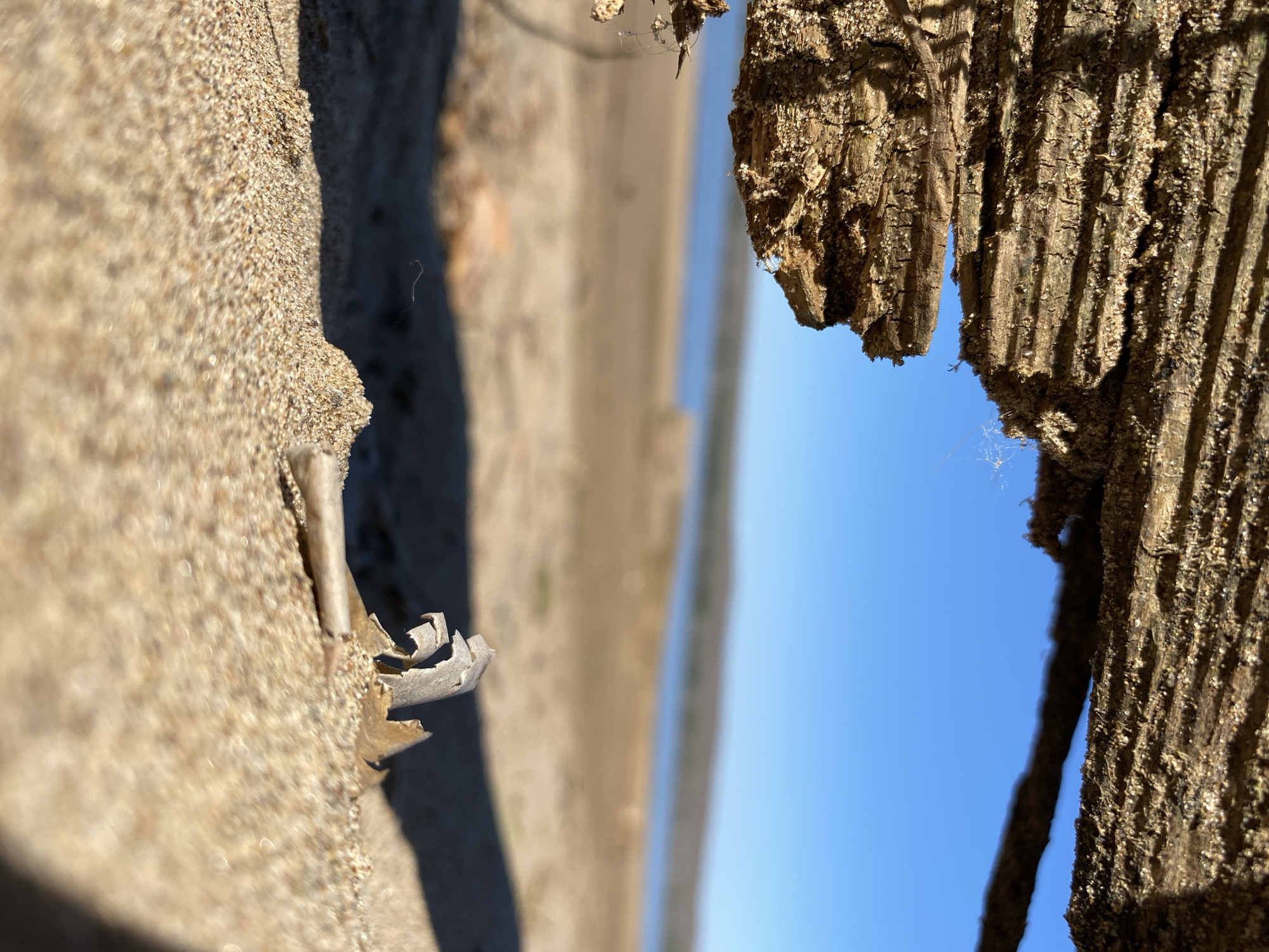 The image shows a close-up view through a gap in a weathered, possibly wooden, structure. The left side appears to be sand or a similar granular material, while the right side is rough, textured wood. Through the gap, a blurred landscape with a light blue sky is visible. The landscape appears to show a beach or shoreline, and it has some vague reflections of water. There are no people visible in the image. The structure could be a fence or wall. I cannot verify that this photo was taken in Chaikovsky, Russia.
