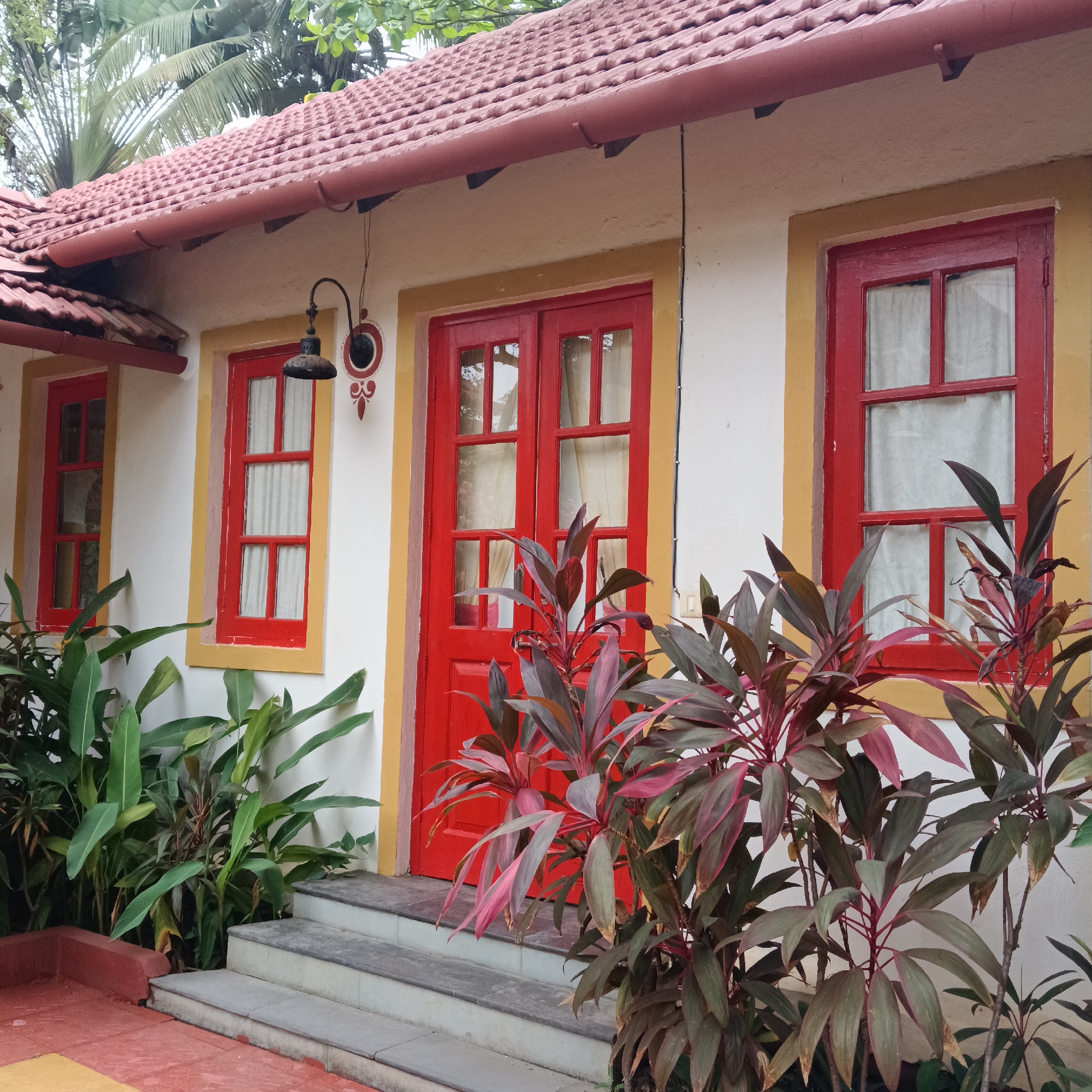 The image depicts a brightly colored building, likely a residence, located in Anjuna, India. The structure is a single story with a red tile roof and white stucco walls trimmed with yellow. The front facade features a red double door and two red-framed windows. Curtains are visible through the windows. An ornate black light fixture hangs on the wall near one of the windows. Tropical vegetation, including banana plants and colorful cordyline shrubs, partially obscures the entrance and windows. A set of stone steps leads to the door. The foreground is a mix of red and yellow tiled surfaces. Palm trees are visible in the background, suggesting a tropical climate.