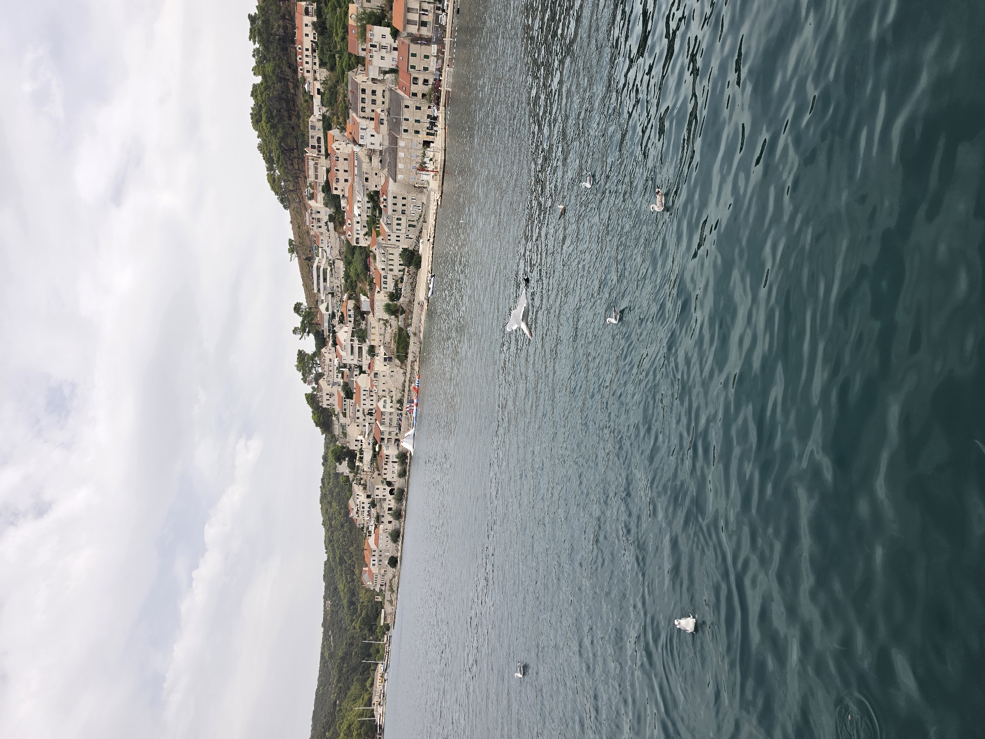 The image depicts a coastal town in Općina Pučišća, Croatia, with buildings cascading down a hillside towards a body of water. The architecture is characterized by white walls and red-tiled roofs, typical of Mediterranean coastal settlements. Lush green trees cover the higher slopes of the hill. The water in the foreground is a deep, undulating blue-green, with several seagulls visible on the surface and in flight. One seagull is captured mid-flight, with its wings outstretched. In the distance, along the shoreline, there are boats docked and a small inflatable water attraction. The sky is overcast with scattered clouds, creating a diffused light. The overall scene conveys a sense of a tranquil, seaside community.