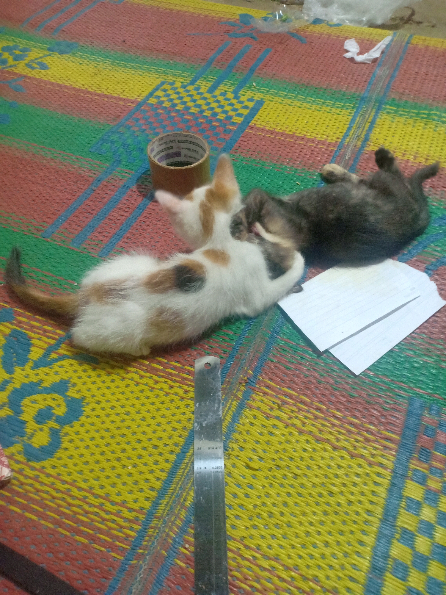 Two kittens, one calico and one dark gray, are resting on a woven mat. The calico kitten is lying on its side, facing left, while the dark gray kitten is curled up on its back, facing right. A roll of tape is visible near the calico kitten, and two sheets of paper are placed near the dark gray kitten. A metal ruler is also present on the mat, to the right of the kittens. The mat itself is a colorful, woven material with stripes of red, yellow, green, and blue. The background is out of focus but appears to be an indoor environment. The image was captured in Tasikhargo, Indonesia.