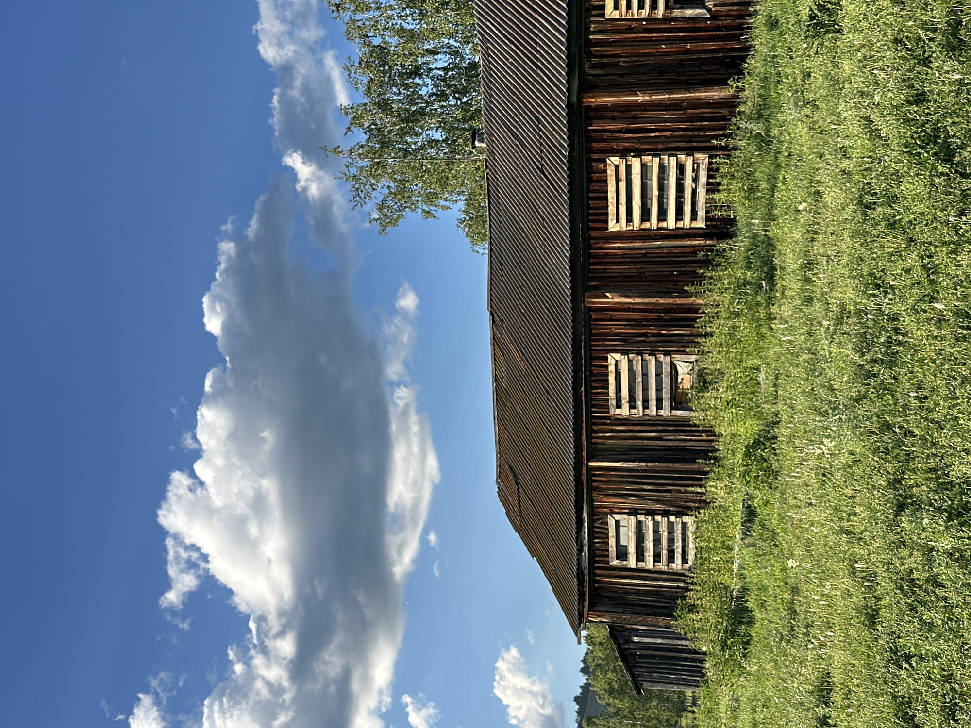 An old, weathered wooden barn stands in a field of tall green grass under a bright blue sky with scattered white and gray clouds. The barn has a corrugated metal roof and wooden planks for walls. Several windows are boarded up with wooden slats. Trees are visible in the background, and a hillside can be seen in the distance. The scene appears to be in a rural or undeveloped area.
