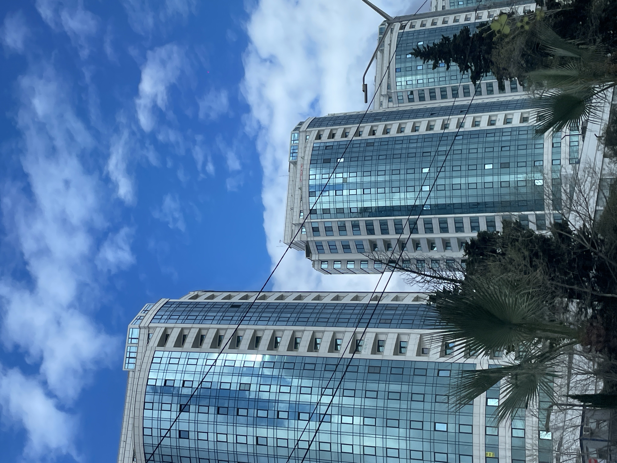 The image depicts a low-angle view of two modern high-rise buildings in Sochi, Russia. The buildings feature a grid-like facade of reflective glass windows and white stone or concrete framing. Wires, possibly power or communication lines, stretch diagonally across the scene. The sky is blue with scattered white clouds. Palm trees and other foliage are visible in the foreground, partially obscuring the lower sections of the buildings.