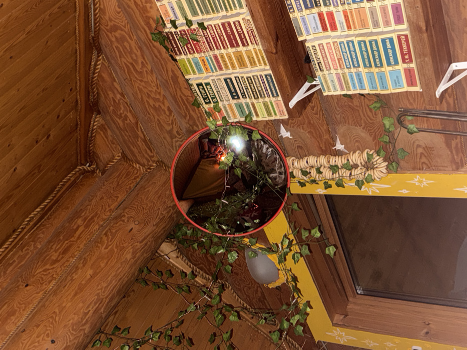 The scene shows a room with wooden walls and ceiling, decorated with rope and artificial ivy. A round mirror reflects a cozy interior. Above the mirror, rows of books line the wall, their spines visible, displaying titles and authors in what appears to be Russian. The arrangement includes works by O. Henry, Irwin Shaw, and Alexander Dumas. Other decorative elements include a string of bagels and paper origami birds. A lamp hangs from the ceiling.