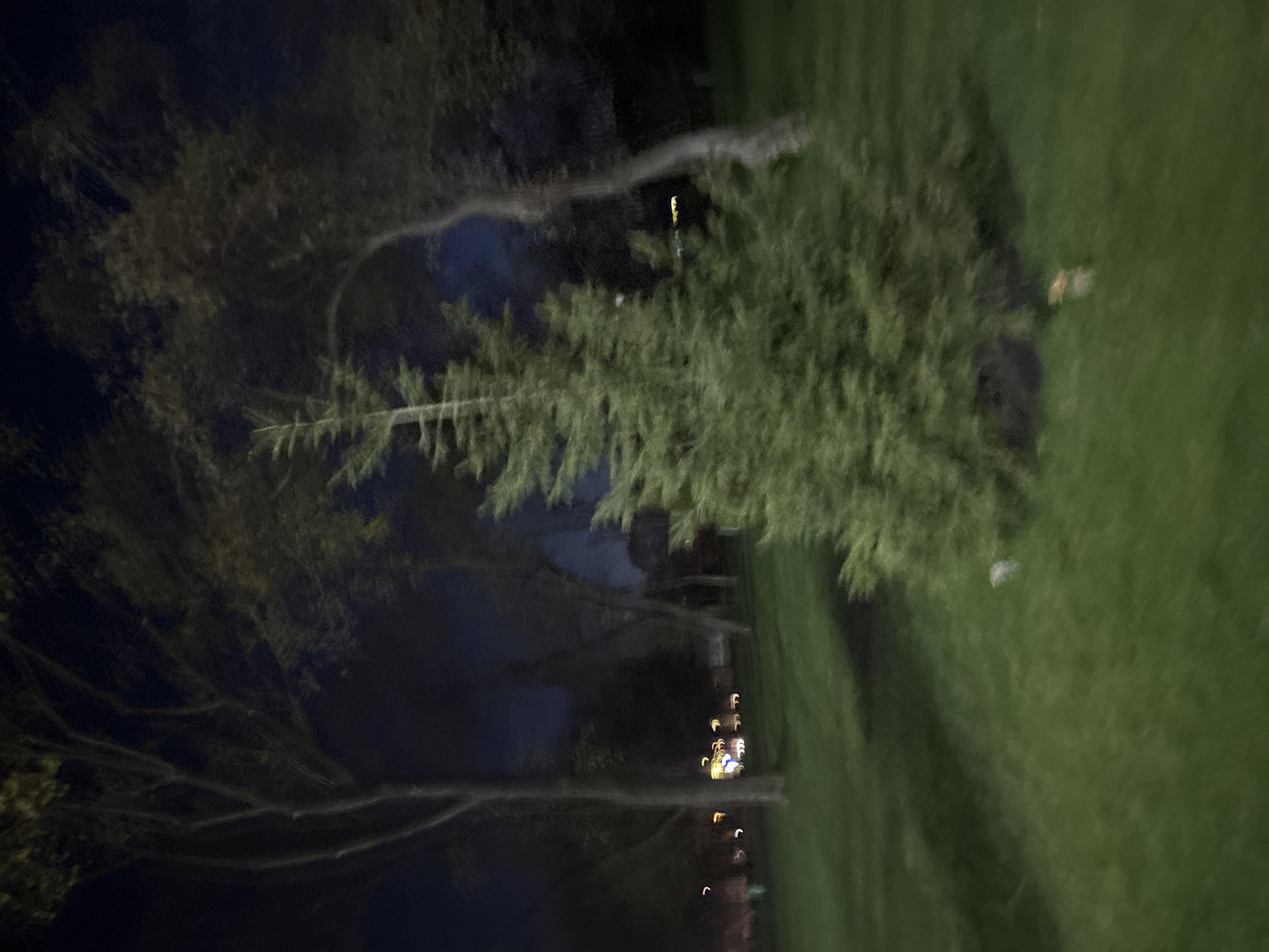 The image depicts a nighttime scene in what appears to be a park or green space. A large tree is present with branches extending across the frame. To the right is an area of green grass or lawn. In the background, there are some lights suggesting a road or pathway. The image is dark and somewhat blurry. The location, Kharkiv, Ukraine, is not evident from the visual content of the image.