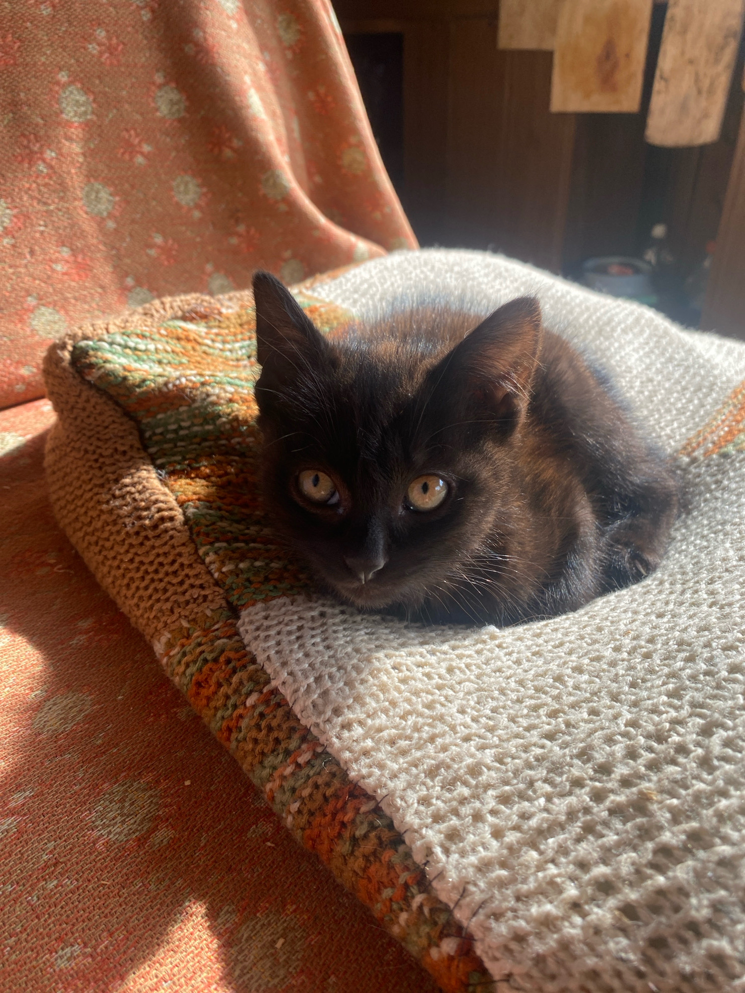 A black kitten with bright yellow eyes is curled up on a textured blanket on an armchair. The blanket has a knitted pattern with cream, orange, and green threads. The armchair fabric is a rust-orange color with a subtle floral print. Sunlight streams in from the right side of the image, casting shadows and highlighting the textures of the materials. The background is out of focus, showing a wooden surface and some hanging items. The scene is indoors, likely in a residential setting. The kitten appears to be resting or sleeping.