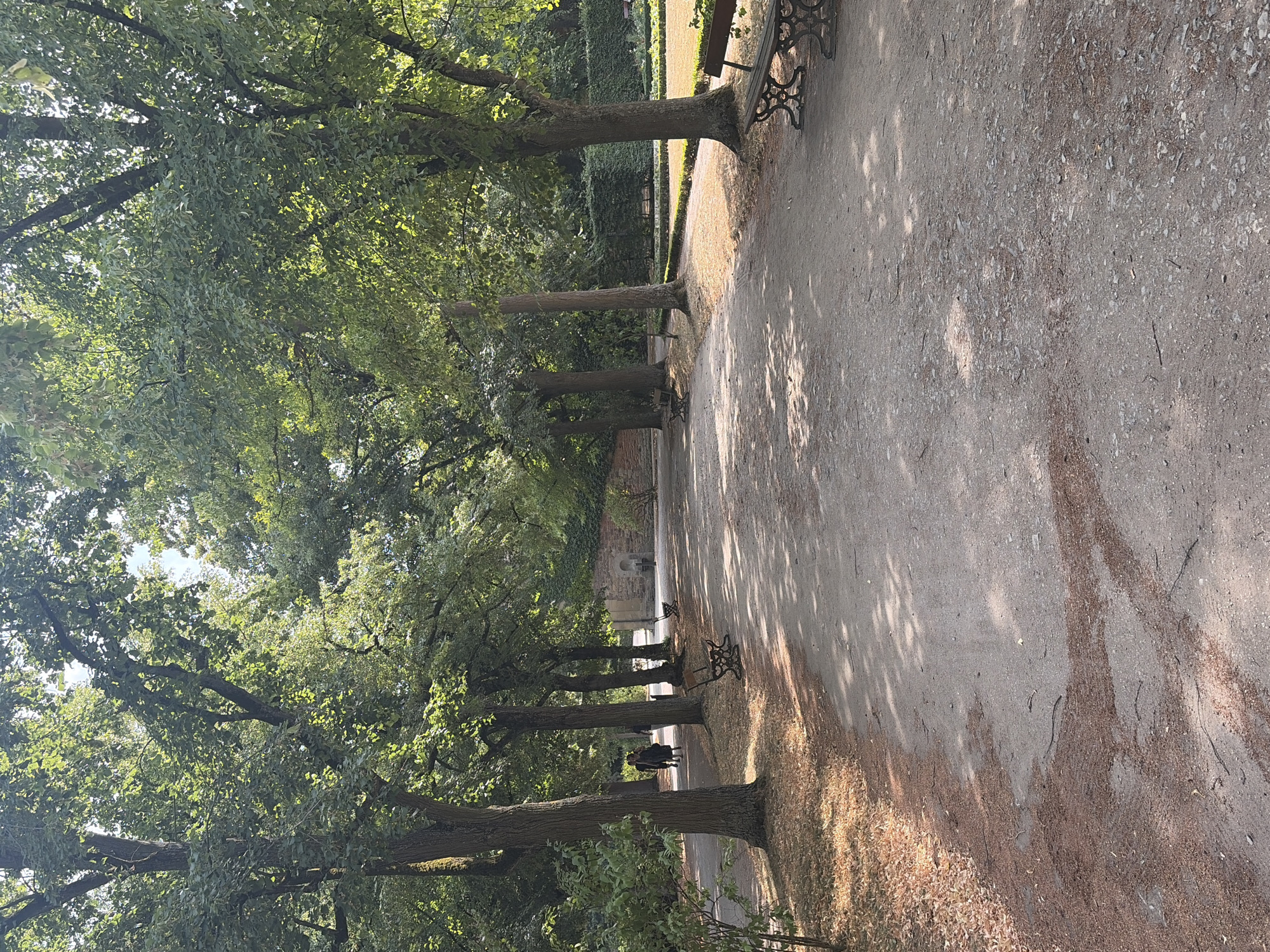 The image depicts a park pathway in Würzburg, Germany, on a sunny day. The pathway, made of gravel and dirt, is lined with mature trees casting dappled shadows. Two individuals are walking away from the camera on the left side of the path, and two park benches are visible, one on the left and another on the right. Beyond the path, a manicured garden area with neatly trimmed hedges and flower beds is visible, bordered by a stone wall covered in ivy. The overall scene suggests a peaceful, well-maintained public space.