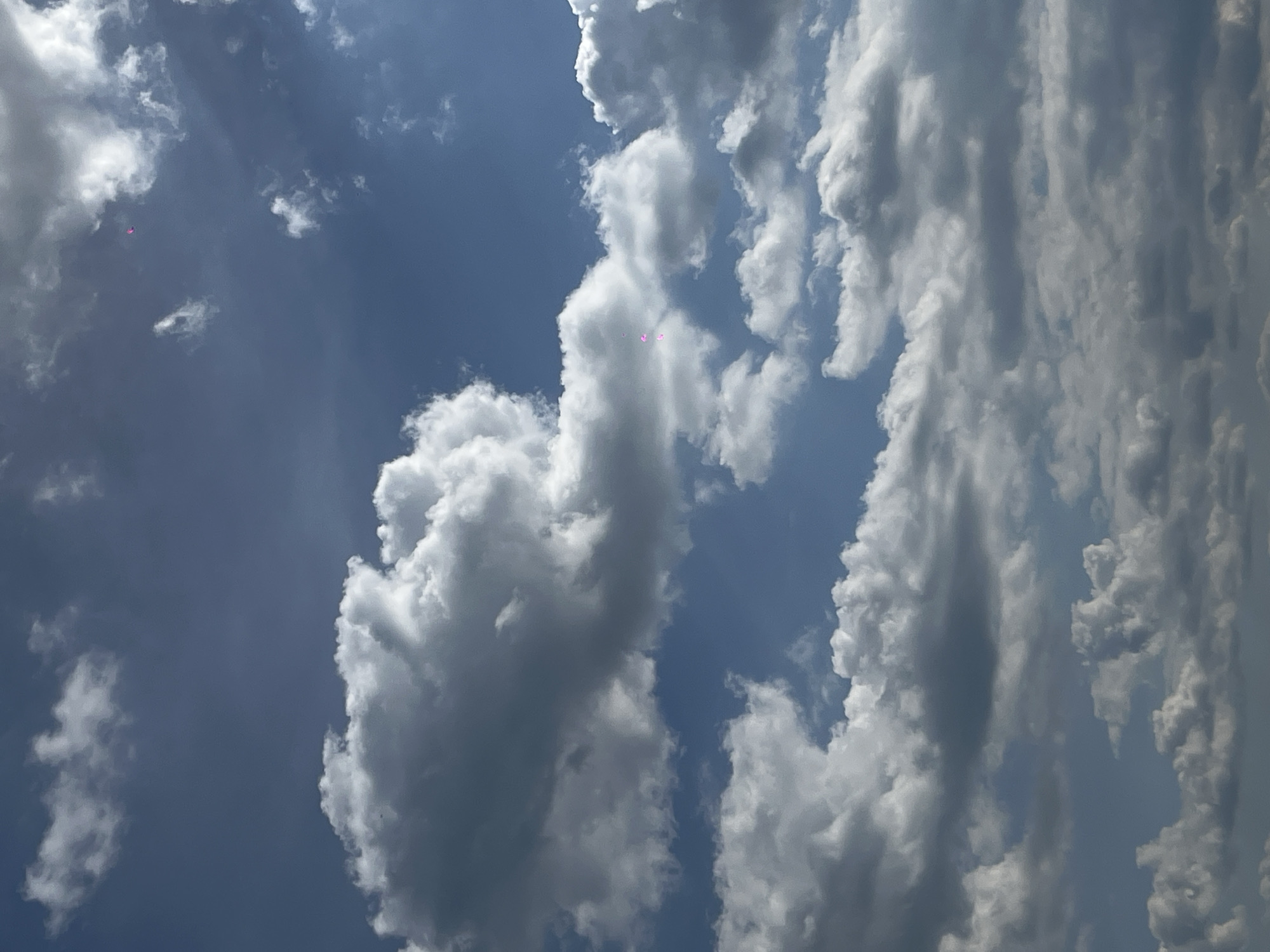 The image captures a vibrant blue sky filled with a dynamic array of white and grey clouds, viewed from Novopokrovskaya, Russia. The perspective is looking upwards, with no horizon visible. Large, billowy cumulus clouds dominate the scene, appearing bright white where they are illuminated by the sun and casting soft grey shadows on themselves, indicating depth and volume. Some clouds are densely packed, particularly towards the right side of the frame, forming towering structures. Patches of clear, deep blue sky are visible between the cloud formations, creating a striking contrast.
The weather appears to be bright and sunny, characteristic of daytime. Several small, bright pink or magenta-colored artifacts, likely lens flares from the camera, are visible in different parts of the sky. No people, specific objects (other than clouds), or visible text are present in the image. No particular activity or event is taking place beyond the natural presence of clouds in the sky.