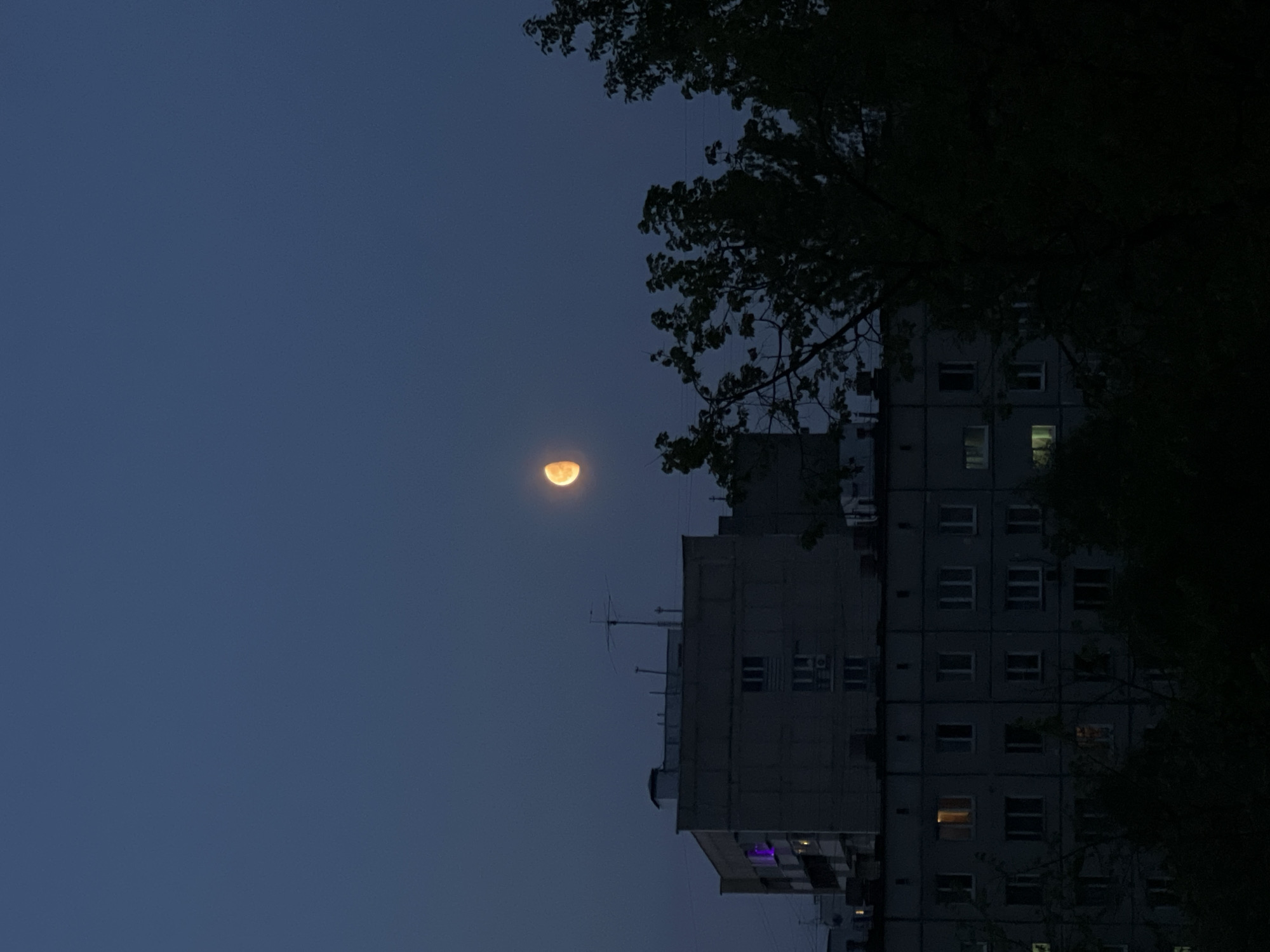 The image depicts a cityscape at dusk or dawn in Khimki, Russia. A crescent moon is visible in the upper left of the frame against a dark blue sky. To the right, a multi-story concrete apartment building stands silhouetted against the sky. Some windows are illuminated, indicating occupancy. The building is partially obscured by the branches of a tree in the foreground. An antenna is mounted on the roof of the building. The general lighting suggests the image was taken during the transition between day and night.