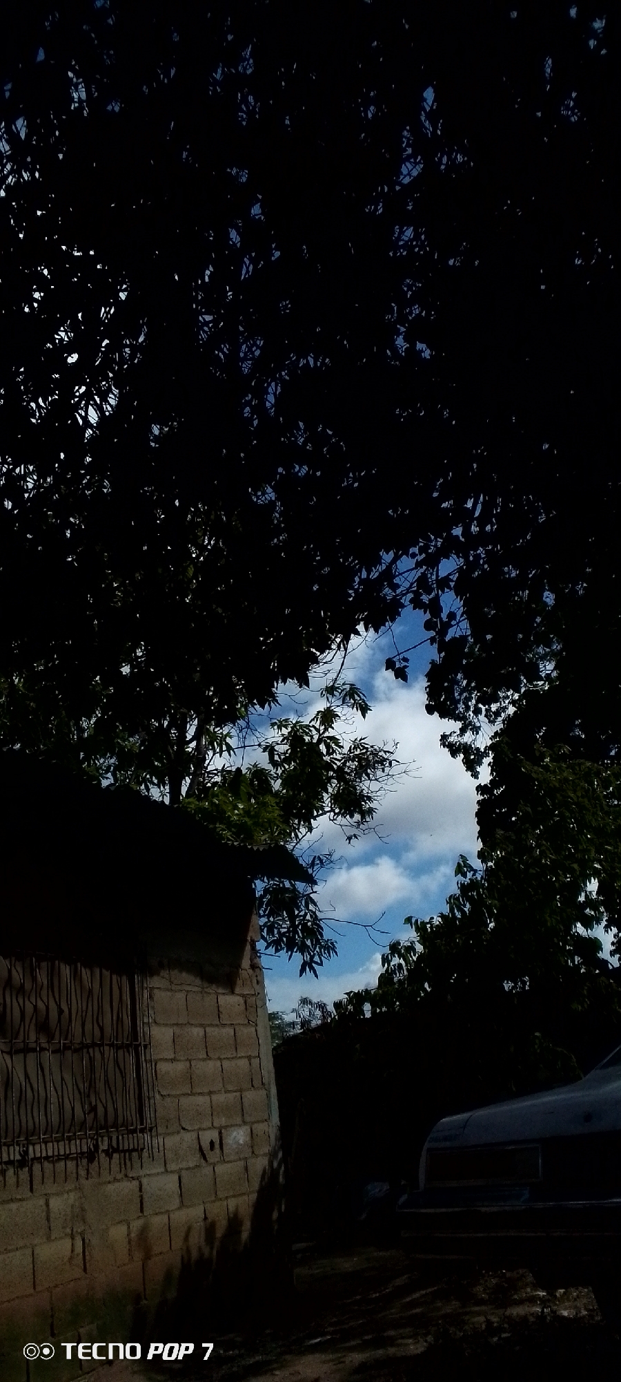 The image depicts an outdoor scene, possibly in the city of Altagracia, Venezuela, characterized by dense foliage and a partially visible structure. In the foreground on the left, a section of a brick building is visible, with its roof partially obscured by dark tree branches. A window with a metal grate is prominent on the wall of this structure. To the right, the rear of a dark-colored vehicle is partially visible, suggesting it is parked or stationary. The background consists of a sky with scattered white clouds, peeking through the silhouettes of numerous trees and branches that dominate the upper and mid sections of the frame. The lighting suggests it is daytime, but the heavy shadows cast by the trees create a high contrast scene. The overall impression is one of a somewhat overgrown or naturalized environment adjacent to a man-made structure and a vehicle. There are no people or animals visible in the image. A watermark "TECNO POP 7" is present in the lower left corner.