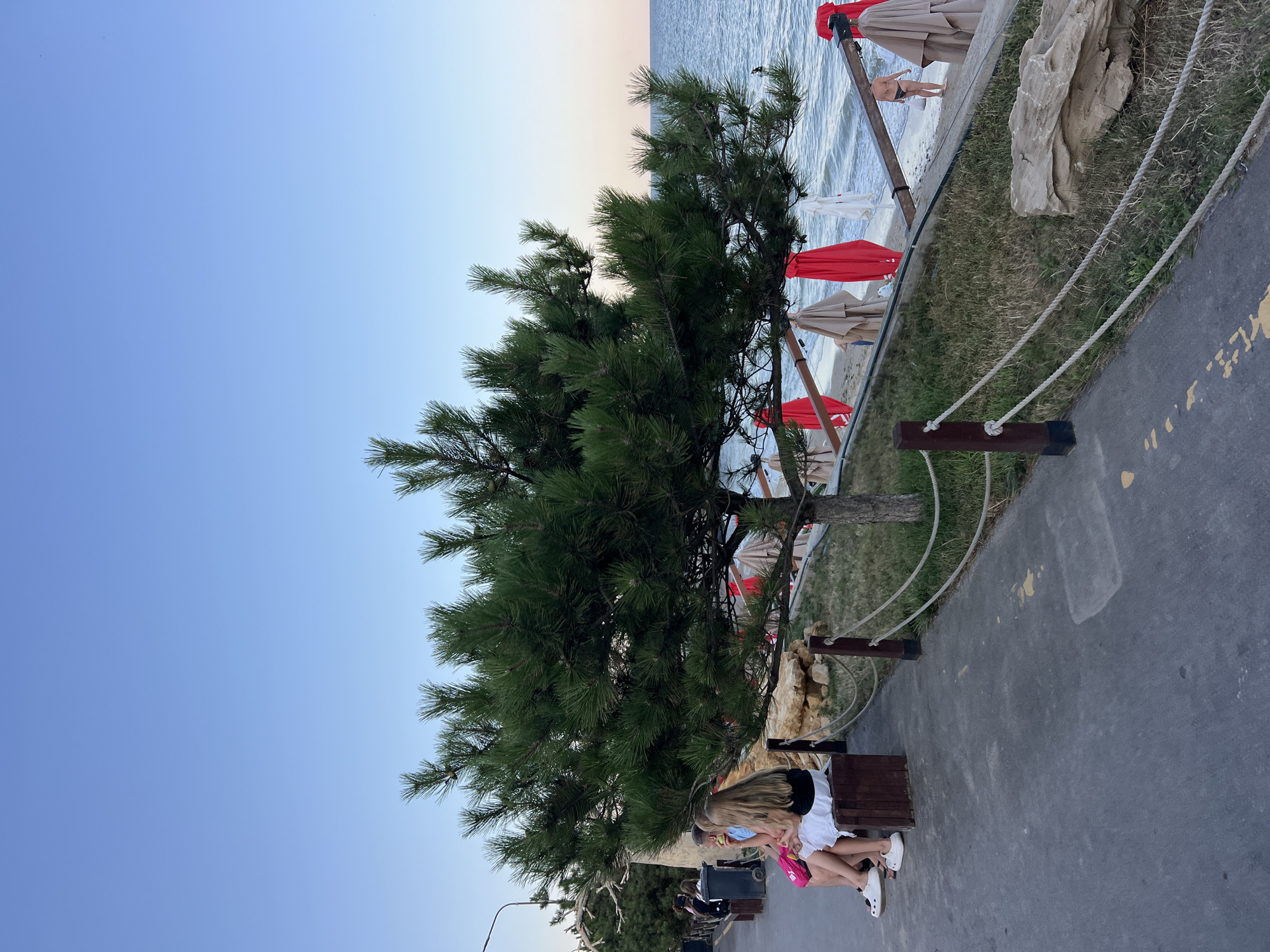 The image depicts a serene coastal scene in Fontanka, Ukraine, likely during the late afternoon or early evening. A paved walkway runs along the foreground, bordered by a rope fence and grass. Several people are seated on a wooden bench along the walkway, one of them wearing a white skirt. A large pine tree with lush green needles dominates the middle ground, its branches extending over the scene.
Beyond the walkway and tree, a sandy beach is visible, with the calm sea gently lapping at the shore. Beach umbrellas, some red and some neutral-colored, are set up on the beach, suggesting a popular recreational area. In the distance, a lone figure, possibly a child, is seen standing near the water's edge. The sky above is a clear, pale blue, indicating fair weather. The overall impression is one of a peaceful, leisurely day at the seaside.