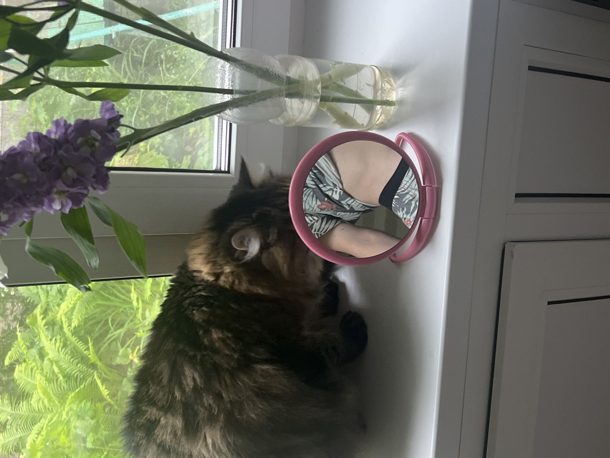 The image displays a domestic scene situated on a white window sill in the city of Chaikovsky, Russia. On the left, a large, long-haired tabby cat with brown, black, and tan fur is positioned with its head lowered towards the sill. In the center-right, an open, circular pink compact mirror stands upright, reflecting a segment of a human leg or thigh clothed in patterned fabric, possibly shorts with a tropical leaf design, and a black hem or underwear. To the right of the mirror, a clear plastic bottle serves as a vase, containing multiple stems of purple florets. The background, viewed through the window, consists of dense green foliage, suggesting an outdoor garden or natural setting. White window framing is visible, and white paneling or cabinetry is present below the window sill.