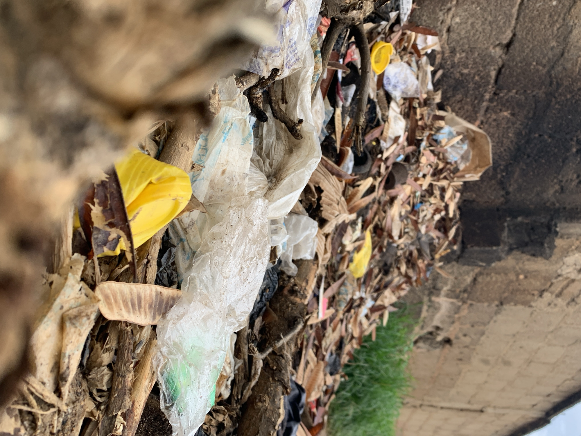 This image presents a low-angle, close-up view of a substantial accumulation of refuse in Rafin Par, Nigeria. The foreground and midground are densely filled with a mixture of synthetic and organic waste. Prominent objects include multiple crumpled, translucent plastic bags, a distinct bright yellow bowl-shaped plastic item, and numerous pieces of dried organic material such as leaves, twigs, and fragments of wood. A light brown, ribbed seed pod is clearly visible among the debris in the lower right.
In the background, two walls define the perimeter of the scene. To the left, a dark, textured wall constructed from rough blocks exhibits a darker, possibly stained or charred, upper section. To the right, a lighter-colored wall, also appearing to be made of concrete blocks, extends horizontally. A small patch of green grass is visible behind the waste pile, between it and the lighter wall. The sky, partially visible at the very top, appears overcast. No individuals, animals, or specific actions are depicted within the frame.
