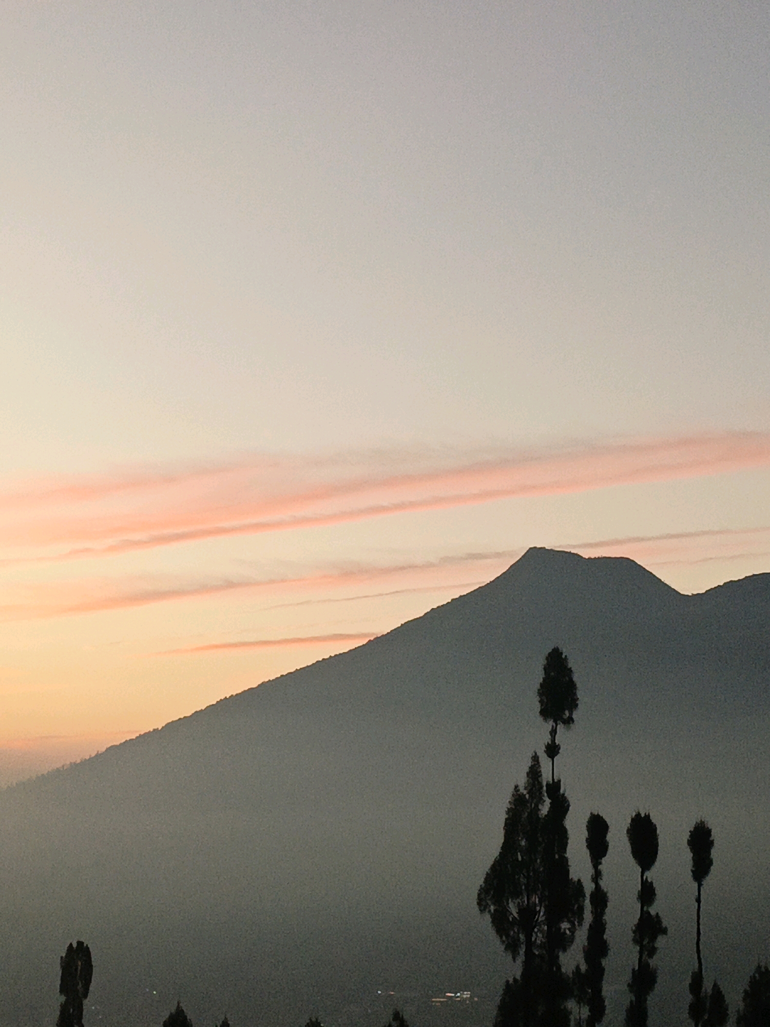 The image depicts a panoramic view of the city of Butuh Kidul, Indonesia, at dusk. The sky is a gradient of pale yellow to soft pink, with wispy clouds streaking across the horizon. A large, dark silhouette of a mountain dominates the background, its slopes covered in a hazy mist. In the foreground, several tall, slender pine trees stand out against the dusky sky, their dark forms starkly silhouetted. The city lights of Butuh Kidul are faintly visible in the distance, twinkling beneath the mountain's imposing shadow. The overall atmosphere is serene and tranquil, with a sense of natural beauty and urban life coexisting.