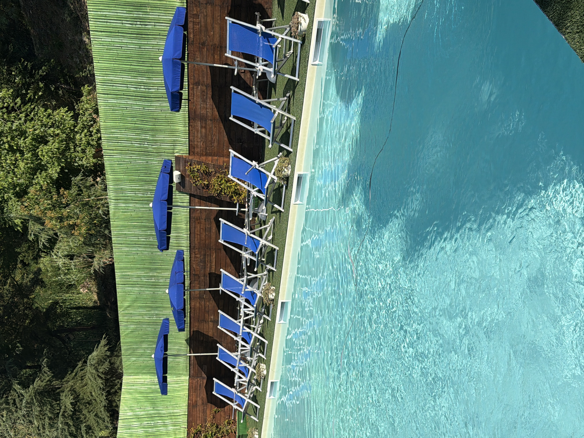 The image depicts a pristine swimming pool with clear, turquoise water, reflecting the sunlight. Along the edge of the pool, on a green, artificial turf surface, are several blue lounge chairs with silver frames, arranged in neat rows. Some of these chairs are unoccupied, while others have small potted plants placed in front of them. Behind the chairs, a wooden fence runs horizontally, providing a rustic backdrop. Above the wooden fence, a vibrant green bamboo-like screen covers a hillside, which is densely covered with lush green trees. In the background, the foliage of these trees is illuminated by the sun, creating a dappled effect. Several blue umbrellas are positioned between the lounge chairs and the wooden fence, suggesting a public or private pool area designed for relaxation and recreation. The scene is brightly lit by natural sunlight, indicating it is daytime. The location is described as being in the city of Rome, Italy, though specific landmarks are not visible.