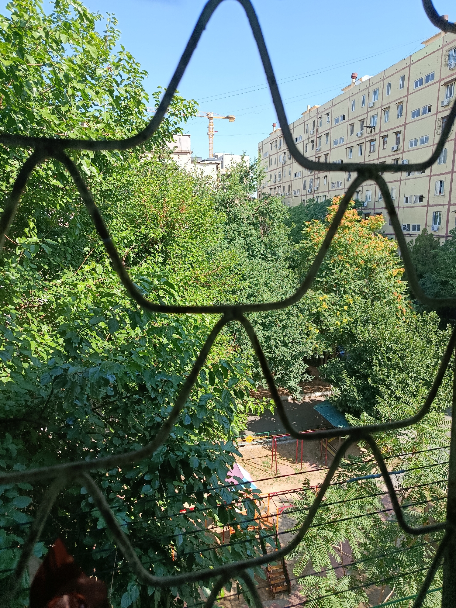 This is a street-level, medium-angle, eye-level shot of a residential courtyard in Tashkent, Uzbekistan. The foreground is dominated by a metal grille, a common feature on apartment windows in the city, which partially obscures the view of the scene beyond. Through the grille, a dense cluster of lush green trees fills the middle ground, with some trees displaying the beginnings of autumnal color, hinting at the season. In the background, a multi-story, pale yellow apartment building stands tall, its facade punctuated by numerous windows and air conditioning units. A construction crane is visible in the distance, suggesting ongoing development or renovation in the area. The courtyard itself appears to be a children's play area, with a swing set and colorful climbing structures visible. The overall impression is one of urban residential life, with nature and development coexisting.