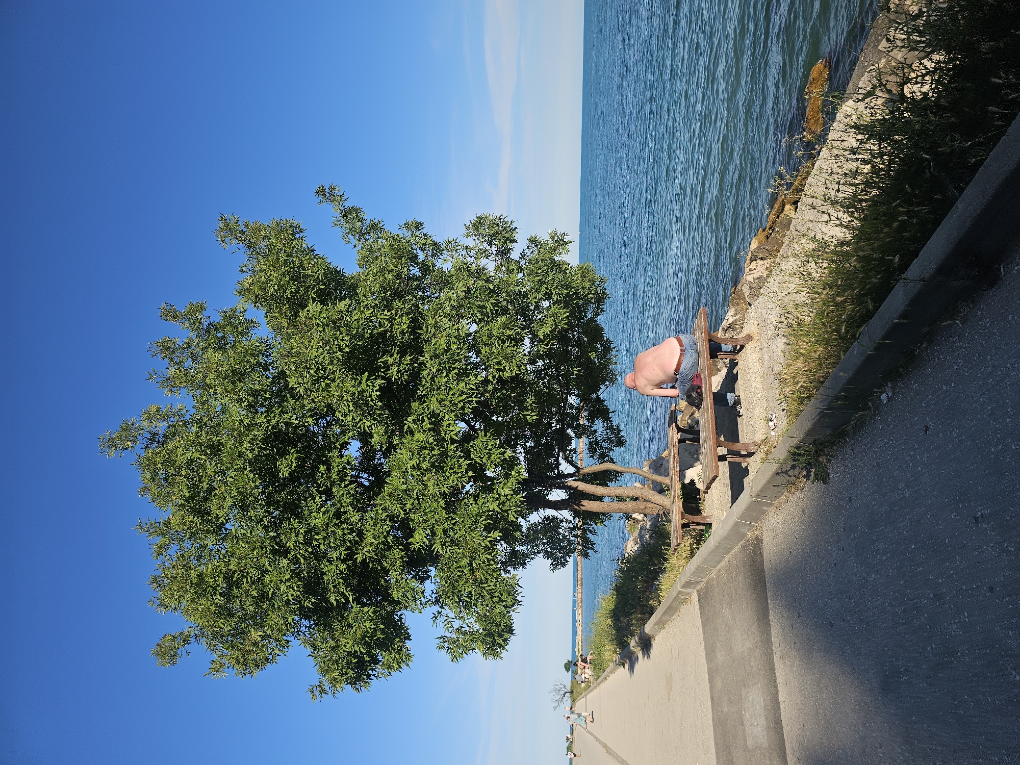 A man is sitting on a wooden bench under a large green tree by the water. He is wearing blue jeans and appears to be shirtless. The bench is placed on a rocky shore next to a paved walkway. The water is blue and calm, with a clear sky above. In the background, there are other people walking on the walkway and a pier extending into the water. The overall scene depicts a serene outdoor setting, likely a park or recreational area along a body of water.