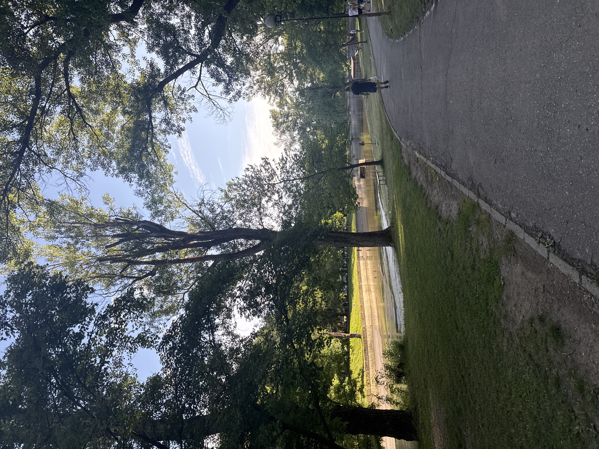 The image shows a park scene with trees framing the sky and a path. A person is walking on the path, which runs alongside a grassy area and a body of water. Benches are visible near the water. The location is likely a park in Blagoevgrad, Bulgaria.