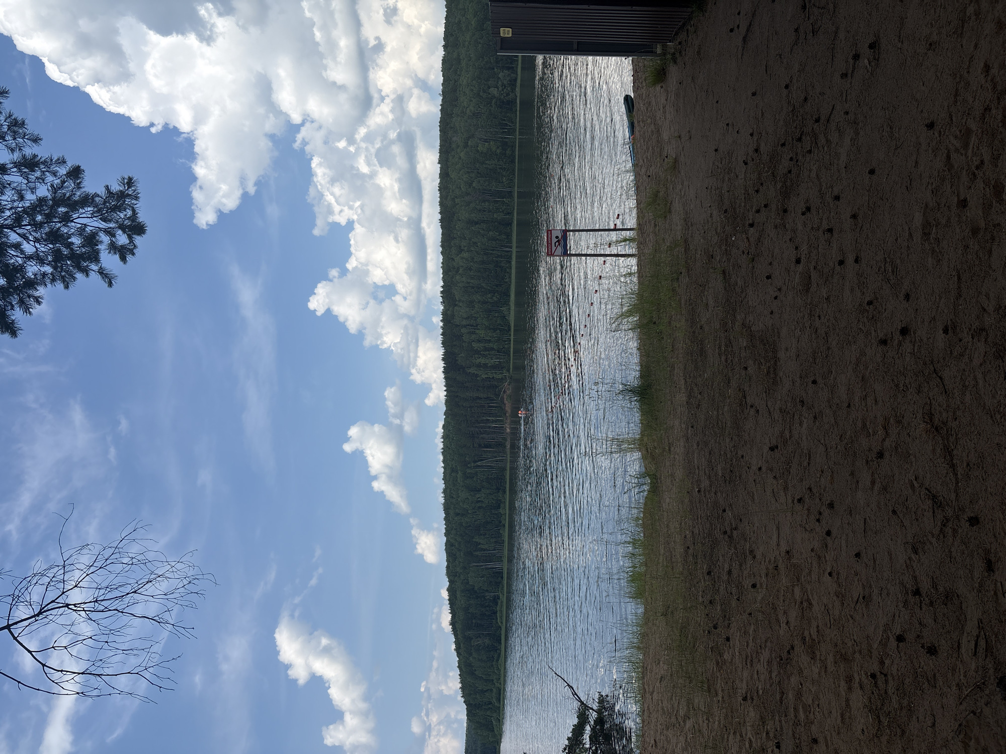 A serene lake scene with a dense, green forest lining the opposite shore. The foreground is a sandy beach with scattered pinecones and sparse green grass. The lake's surface is rippled, reflecting the bright blue sky dotted with fluffy white clouds. In the middle ground, a line of buoys marks an area on the water, and a sign with a prohibition symbol (likely for swimming) stands near the water's edge. To the right, a dark, vertical structure, possibly a fence or a building, is partially visible. A few individuals are present in the water in the distance, appearing to be wearing life vests. The overall impression is a recreational area on a pleasant day.
