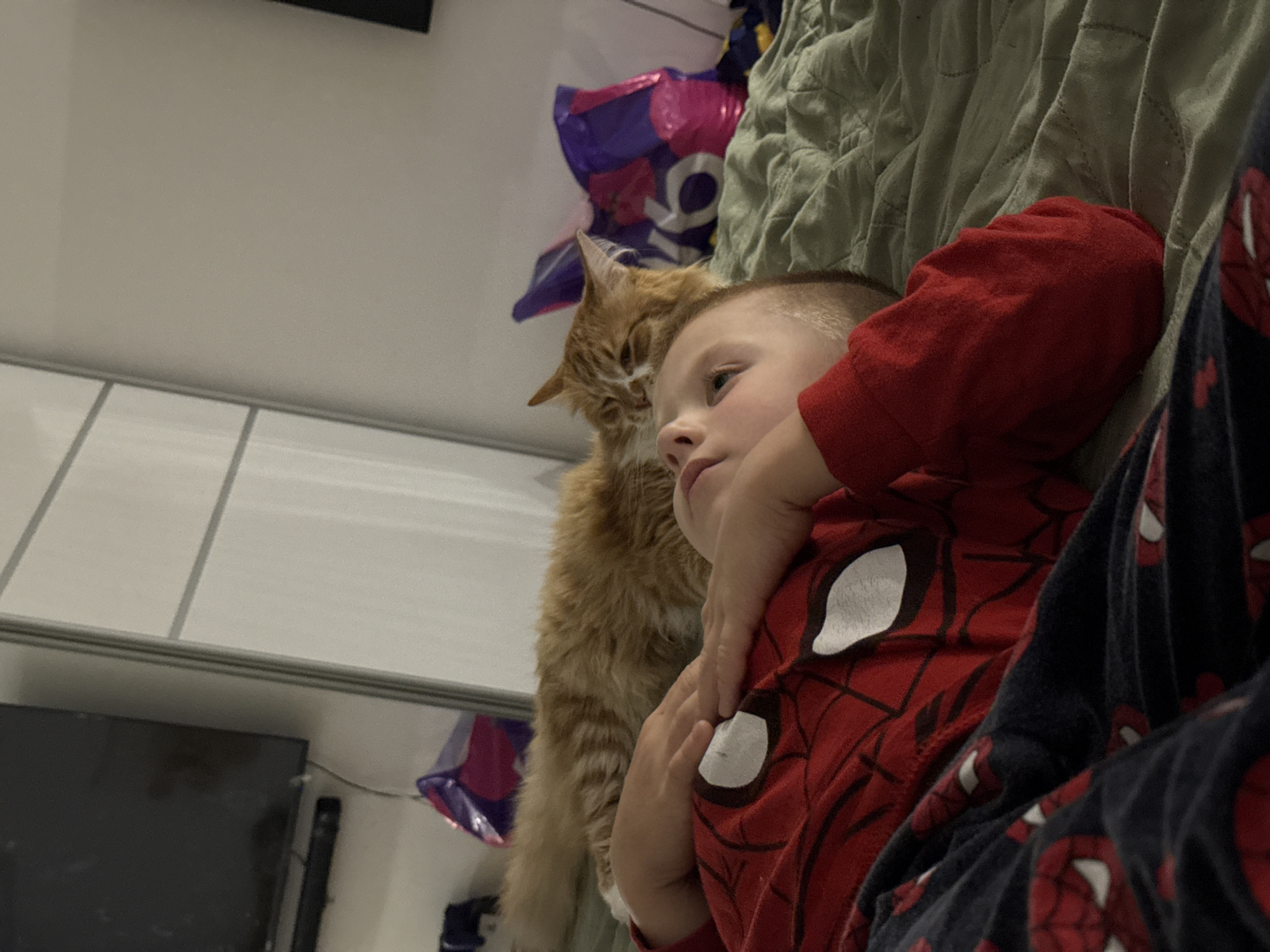 An orange tabby cat lies on its side on a bed, partially obscuring the face of a young boy who is lying on his back. The boy is wearing a red Spider-Man pajama top and dark blue Spider-Man pajama bottoms. His hands are resting on his chest. The cat's head is resting on the boy's shoulder area, and its eyes are closed. The background shows a white closet with mirrored doors and a dark television screen mounted on the wall. Two purple and pink shopping bags are visible on the floor behind the cat. The image appears to have been taken indoors, likely in a bedroom. No specific location in Veliky Novgorod, Russia, can be identified from the visual information provided.