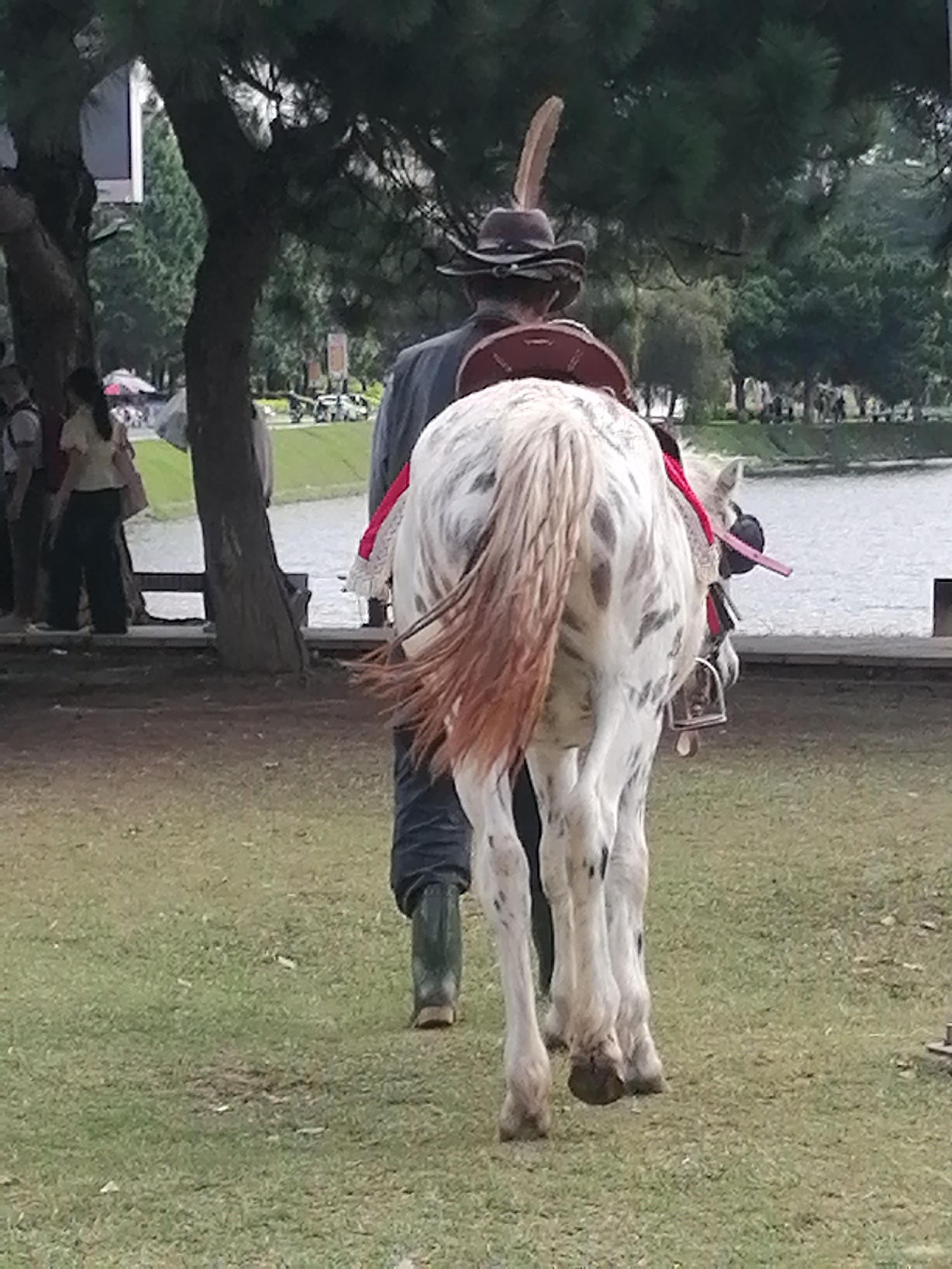 The image depicts a horse and rider in an outdoor setting, possibly a park or recreational area. The horse is dappled white and brown, with a red saddle pad and a bell attached to its bridle. The rider is wearing a dark hat with a feather and a dark coat. The background shows trees, a body of water, and a few other people. Based on the context of Da Lat, Vietnam, this scene likely takes place at the Da Lat Flower Garden or a similar tourist area where horse riding activities are offered.