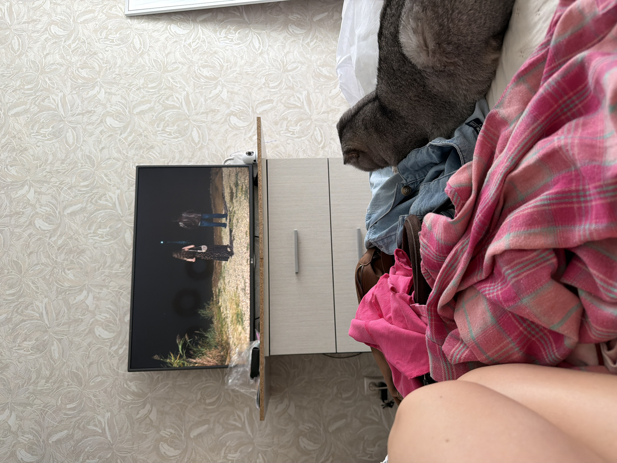This image captures a cluttered domestic scene, likely a bedroom or living area in Semiluki, Russia. The primary subjects are a television screen displaying a still image of two individuals, a pile of clothing, and a portion of a cat. The television is mounted on a thin wooden stand, which is propped against a wall covered in a pale, patterned wallpaper. The TV screen shows two people standing in an outdoor environment with tall grass and trees.
A significant portion of the right side of the image is dominated by a heap of laundry. This includes a denim jacket, a bright pink fabric, and a pink and blue plaid blanket. A brown leather bag is also partially visible within the pile. Above the clothing, a grey cat's back and tail are visible, suggesting it's resting on the pile or the furniture behind it.
Adjacent to the television stand is a light-colored cabinet with two drawers, each featuring a silver handle. The cabinet is positioned on a floor with a textured pattern. In the background, near the top of the image, a white curtain or sheet is visible.
The overall impression is one of a lived-in space with items out of place. There is no discernible time of day or weather information. The scene evokes a sense of casualness and perhaps a moment of pause, with the television on and laundry waiting to be put away. The visible text on the denim jacket reads "W.JEANS".
