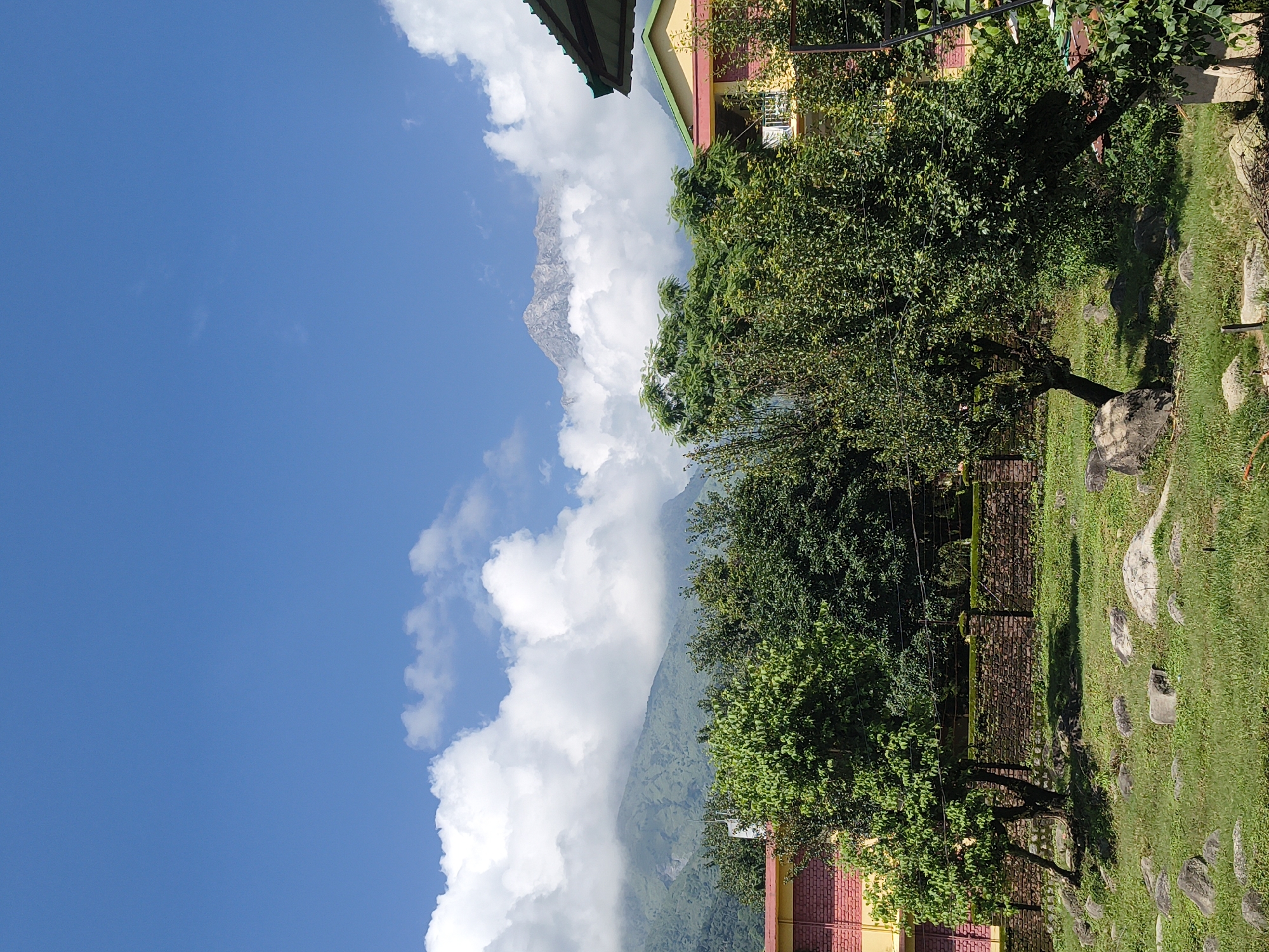 The image shows a view of a building and surrounding natural landscape under a blue sky with scattered clouds. In the foreground, a grassy area is dotted with numerous large, grey rocks. A few trees, some with sparse foliage and others with dense green leaves, are scattered across the grass. A low, brick wall runs horizontally across the mid-ground, separating the grassy area from a more manicured garden or courtyard. Behind the wall, a section of a building is visible, characterized by red brickwork and yellow upper sections, with some greenery overhanging from trees. In the background, lush green mountains rise, partly obscured by white clouds. The peak of a snow-capped mountain is visible in the distance, peeking through the clouds. The scene appears to be a peaceful, outdoor setting. The location is Kandi, India.