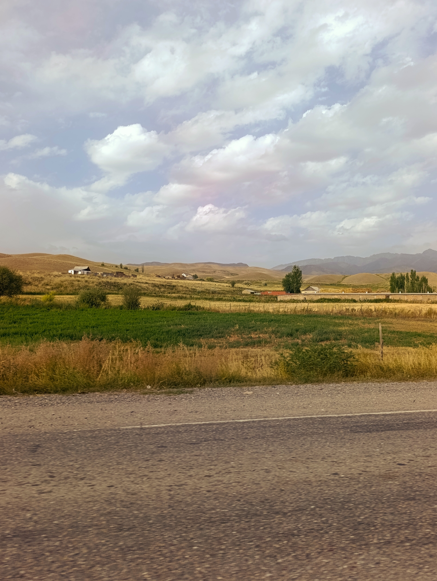 The image shows a rural landscape in the city of Kyzyl-Jyldyz, Kyrgyzstan. In the foreground, there is a paved road with a white line marking the edge. Beyond the road, a field of dry grass transitions into a vibrant green field. In the middle ground, there are several buildings, including houses with pitched roofs and a long, low structure with a fence. Scattered trees, some with dark green foliage and others bare, dot the landscape. The background consists of rolling hills and distant mountains under a sky filled with fluffy white and grey clouds. The overall scene depicts a tranquil, agrarian environment under a partly cloudy sky.