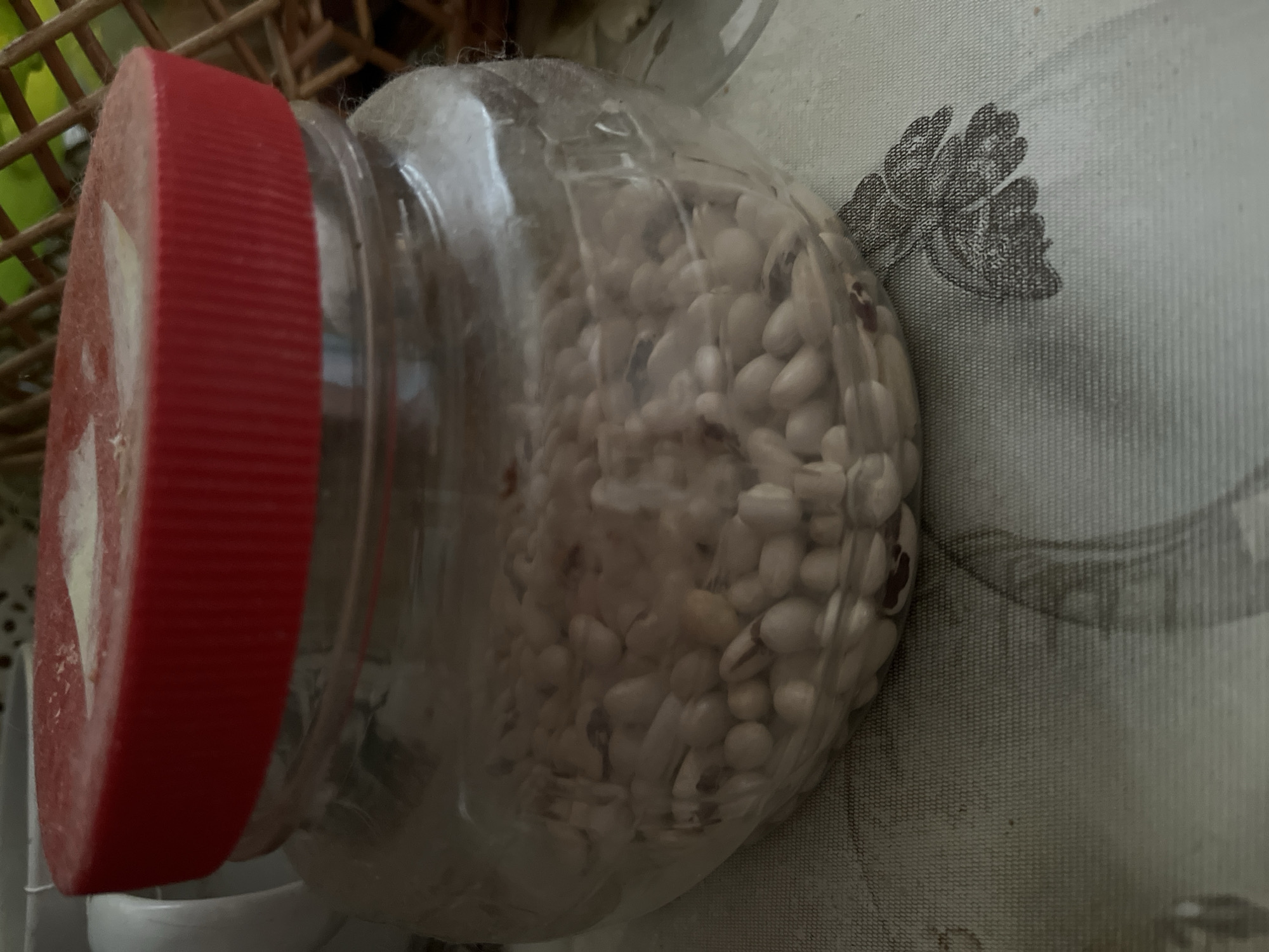 A forensic examination of the image reveals a clear plastic jar with a red, ribbed screw-on lid. The lid's upper surface exhibits a sparse dusting of white powder. The jar contains a quantity of small, ovular, off-white beans, some of which possess distinct reddish-brown markings. The jar rests on a light-colored textile surface, possibly a tablecloth, which features a repeating pattern of dark grey, stylized leaf motifs and a visible woven texture. To the left of the jar, a portion of a white ceramic mug handle is visible. To the right, an element of woven wicker or rattan material is partially visible, with a blurred green object in the background. No individuals, direct actions, or interactions are present. The environment appears to be an indoor setting. There is no discernible information within the image that indicates the location is in the city of Minsk, Belarus, or any specific geographical area.