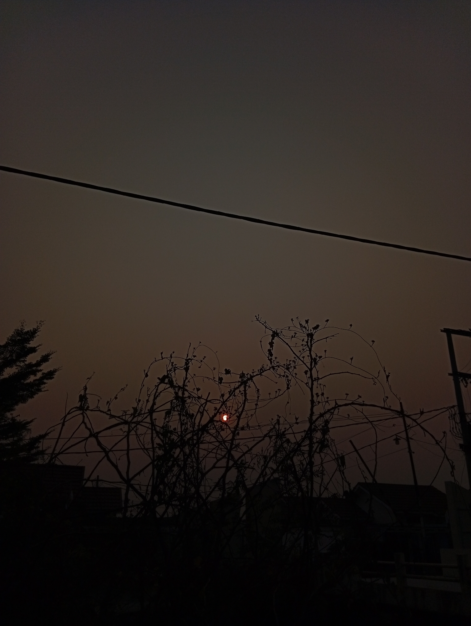 The image depicts a dusky sky with a visible power line stretching horizontally across the upper portion. In the mid-ground, silhouetted against the muted sky, are the bare branches of trees and some sort of overgrown vine structure. A small, reddish orb, likely the sun partially obscured by atmospheric conditions, is visible through the tangled branches. To the left, a partial silhouette of a conifer tree is present. In the lower part of the image, darker shapes suggest rooftops of buildings and possibly a utility pole on the right. The overall impression is one of twilight or a hazy, possibly smoggy, atmosphere in an urban or semi-urban environment. There are no people or overt actions visible.