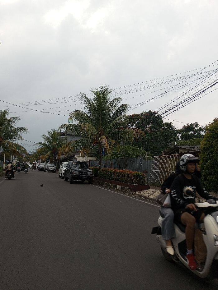 A street scene under a cloudy sky features palm trees lining the side of the road. Several cars are parked along the curb. A scooter with two riders is in the foreground, moving toward the viewer. Utility lines stretch across the sky. A fence and greenery border the properties along the street, providing a backdrop to the cars and trees.