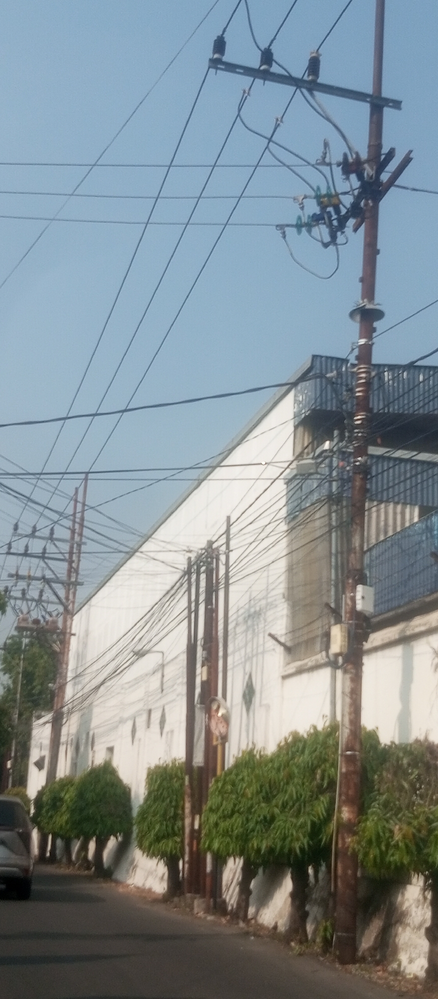 A daytime, low-angle, medium shot captures a street scene in Kediri City, Indonesia, featuring a white building with a corrugated metal roof, a line of manicured trees, a power pole with numerous wires, and a portion of a car. The building occupies the background, its facade a stark white with a recurring diamond pattern visible. Above, the corrugated roof extends horizontally. In the foreground, a paved road runs along the bottom of the frame. To the right of the road, a series of trees with dense green foliage are planted in a row, their trunks visible. A dark, partially obscured car is visible on the far left of the road. A prominent power pole, weathered and brown, stands to the right of the trees, festooned with a complex network of overhead electrical wires. The sky is a clear, pale blue.