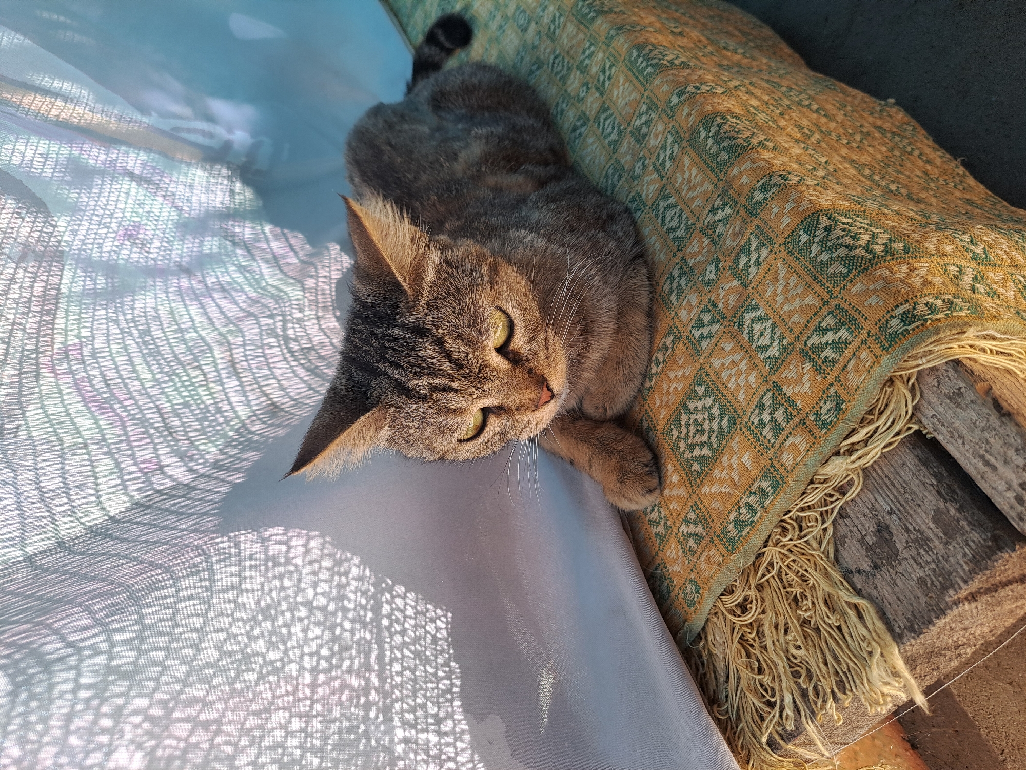 A tabby cat is resting on a patterned textile draped over wooden planks. The textile is predominantly yellow and green, with a fringed edge hanging over the side. The cat is lying down, facing left with its paws tucked under. A textured white fabric hangs in the background, casting a patterned shadow on the scene. The overall setting appears to be outdoors. The image was taken in Vypasne, Ukraine.