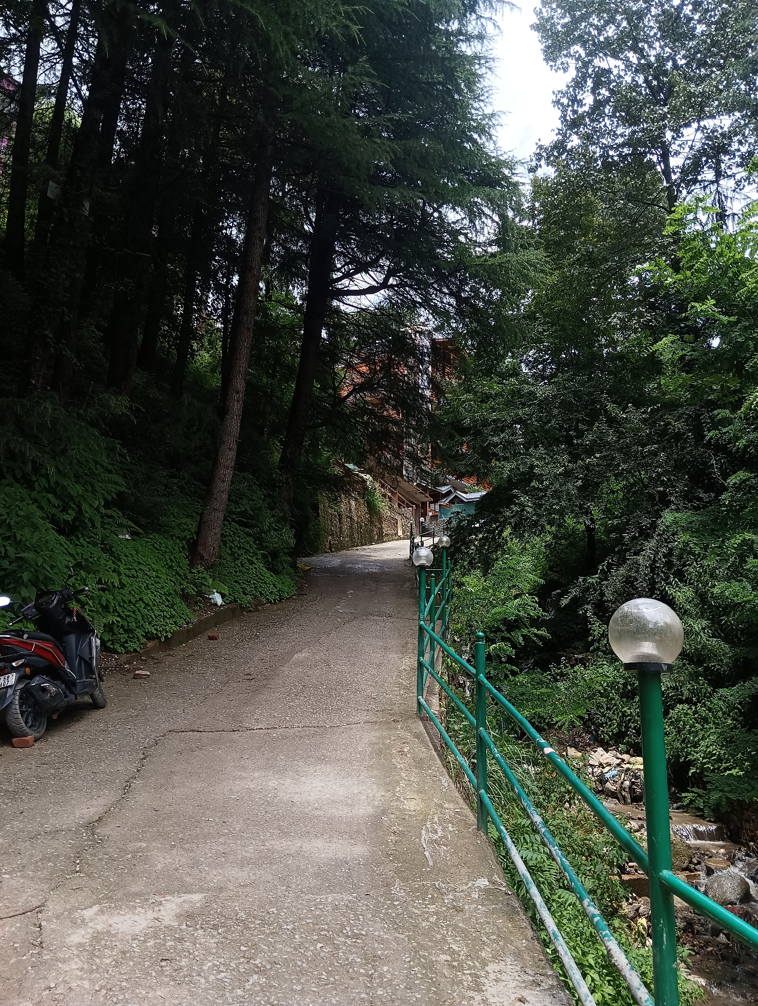 A paved path slopes upwards through a dense, green, forested area. On the left side of the path, a red and black scooter is parked. Lush green foliage covers the steep embankment to the left of the path. On the right side of the path, a green metal railing follows the curve of the road, with several round, clear glass lamps mounted on posts. Beyond the railing, there is a small stream with visible trash and debris. Trees with dark green foliage are abundant throughout the scene, with a building partially visible through the trees in the background. The sky is overcast.