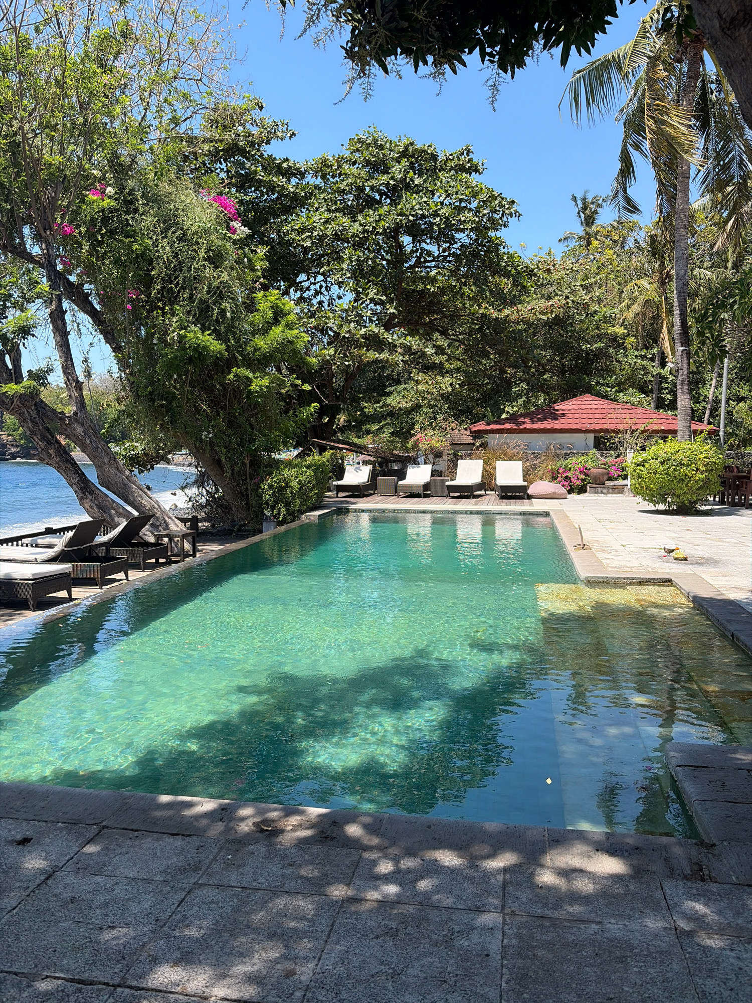 The image depicts a serene outdoor swimming pool area, likely a resort, set against a backdrop of lush tropical vegetation and a body of water, possibly the ocean. The pool is rectangular with clear turquoise water, reflecting the surrounding trees and the bright blue sky. The deck around the pool is paved with light-colored stone and wood. Several lounge chairs are arranged on the deck, some facing the pool, others towards the water.
To the left of the pool, a large, gnarled tree with abundant green foliage and pink flowers provides shade. Beyond the tree, the calm water of the sea is visible, with a gentle shoreline.
In the background, behind the pool and lounge chairs, is a building with a red tiled roof, typical of Indonesian architecture. Further back, dense tropical trees and palm trees create a verdant wall.
On the far right of the image, a small, rounded green bush stands near the edge of the paved area. A few small items, appearing to be food offerings or decorative elements, are placed on the stone near the bush. The overall atmosphere is tranquil and inviting, suggesting a vacation or relaxation spot. The specific location is in Kubu, Indonesia, as indicated by the prompt.