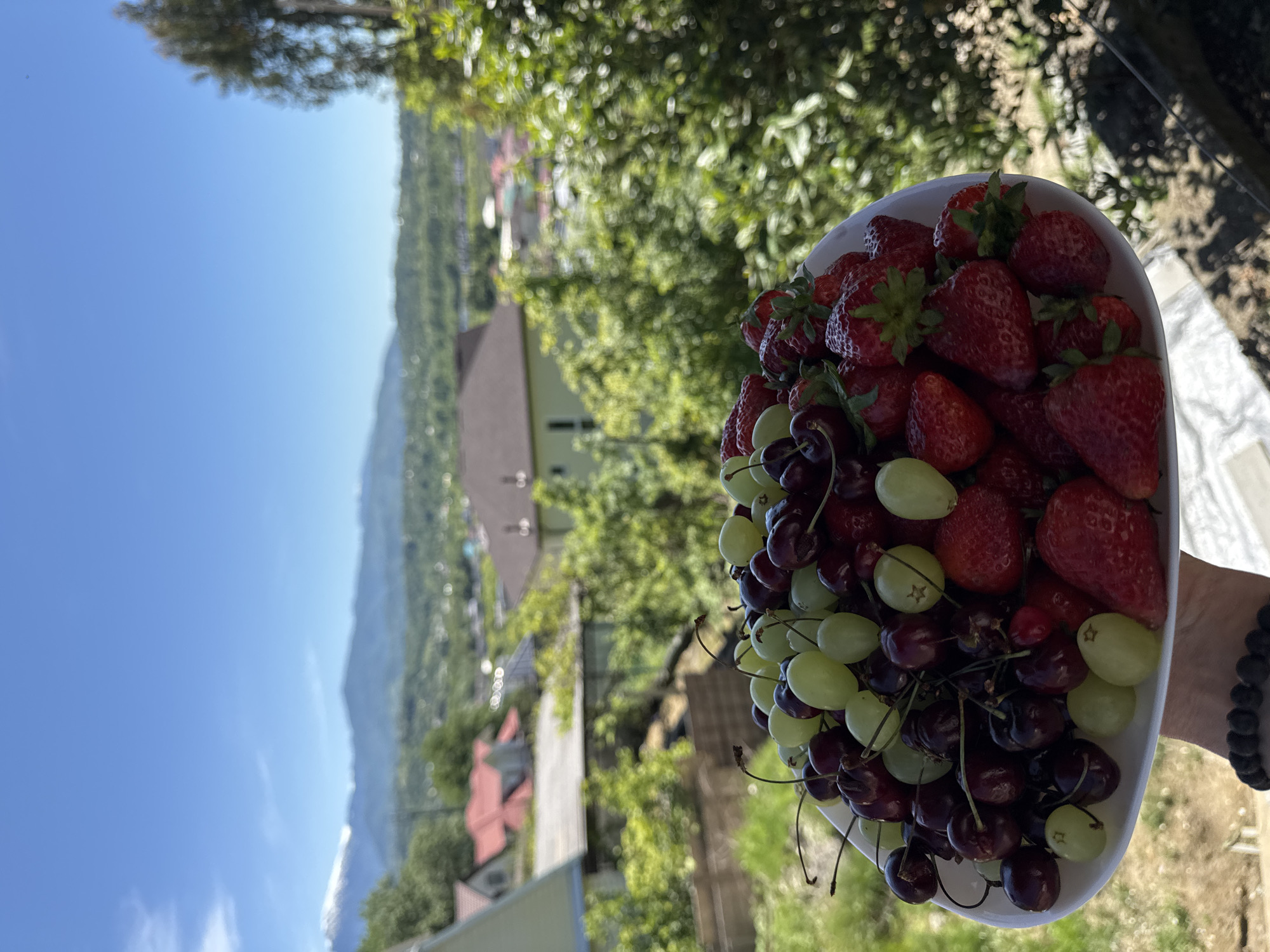 A person's hand, adorned with a black beaded bracelet, is visible on the right, holding a white bowl brimming with fresh fruit. The bowl is filled with ripe red strawberries, clusters of light green grapes, and dark red cherries.
The image captures a bright, sunny outdoor scene under a clear blue sky. In the background, a verdant landscape extends, characterized by dense green trees, several houses with varying rooftops (some brown, some red), and distant mountains. A portion of the mountain range appears to have snow-capped peaks. The setting suggests an elevated viewpoint, possibly from a balcony or terrace, overlooking a picturesque valley.
The overall impression is one of freshness, nature, and relaxation on a beautiful day, likely summer or late spring. The location is contextualized as Vesyoloye, Russia. There is no visible text in the image.