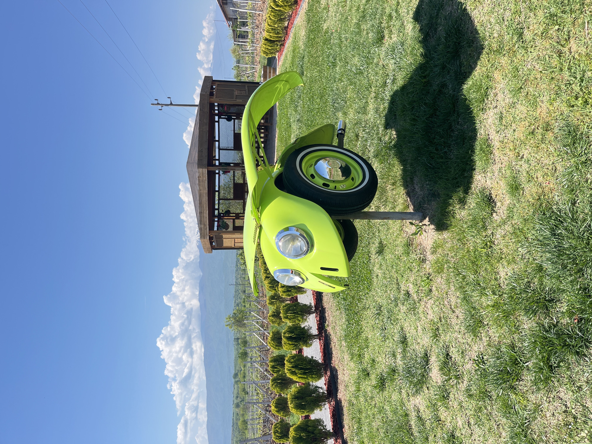 The image shows a lime green Volkswagen Beetle cut in half and mounted on a pole in a grassy area. The background includes a wooden structure, possibly a gazebo, a row of small, rounded trees with red edging, and a mountainous landscape with a clear blue sky. The photo was taken in Kapatovo, Bulgaria.
