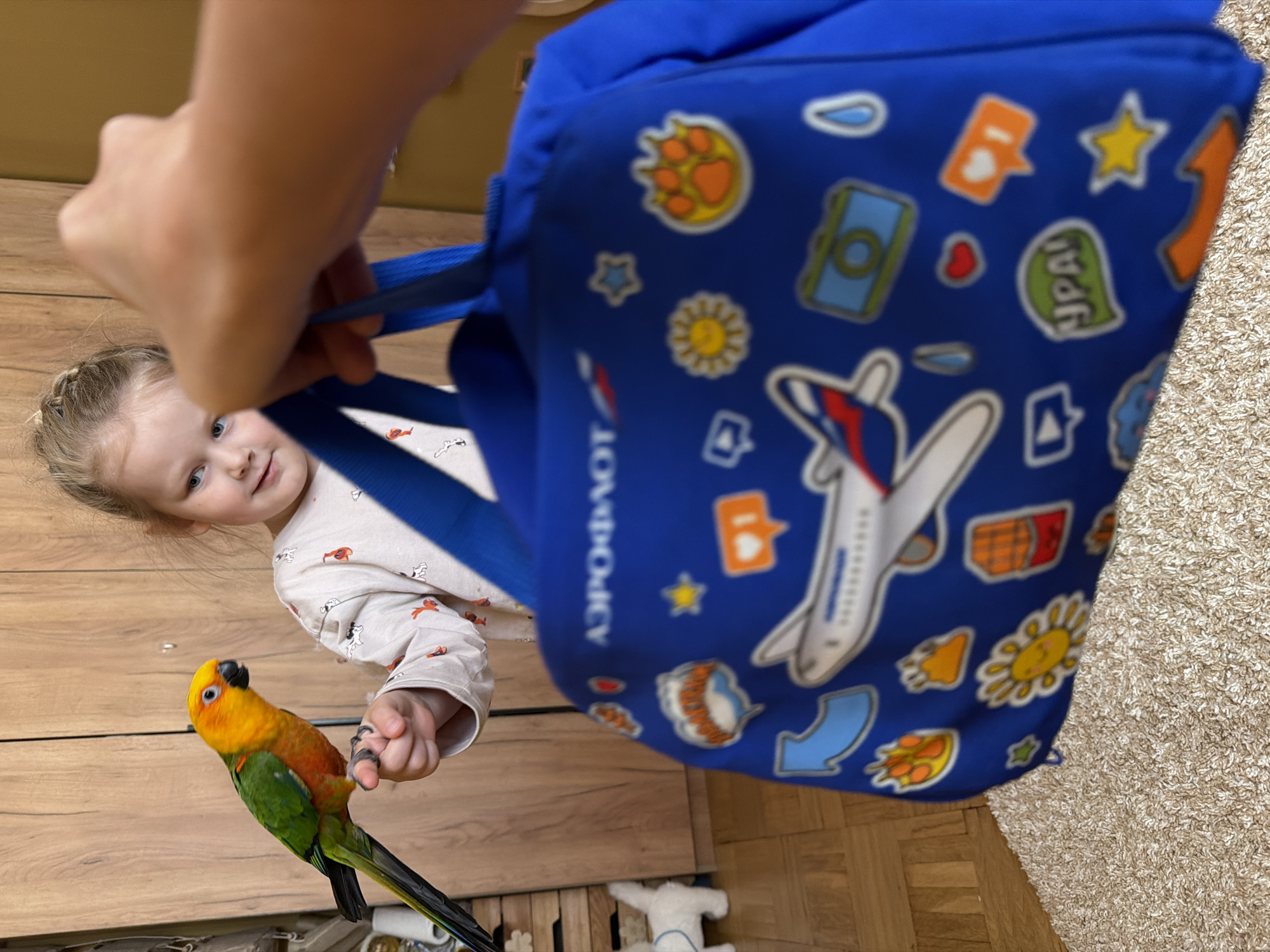A young girl with blonde hair is holding a Sun Conure parrot in a room with a wooden floor. The girl wears a long-sleeved shirt printed with small dog images. A blue backpack with cartoon-style images and the word "АЭРОФЛОТ" (Aeroflot) in Cyrillic is being held up near the girl. The backpack features images of a plane, a paw print, stars, a camera, a sun, and other icons. A carpet is visible in the background. The city of Khimki, Russia cannot be determined from the image.