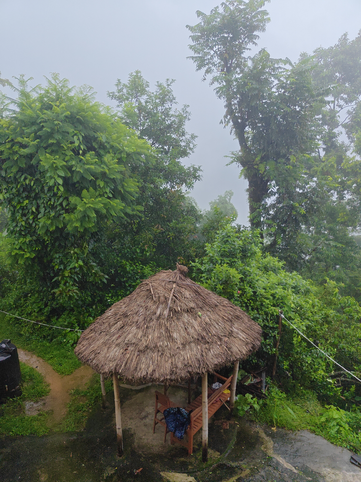 A thatched-roof gazebo with bamboo supports sits on a concrete base, with wooden benches inside. Two chairs are visible, one with a dark blue cloth draped over it. The gazebo is surrounded by lush green foliage and tall trees, indicating a natural or semi-rural environment. The sky is overcast and appears hazy, suggesting a foggy or misty condition, possibly indicative of the monsoon season in Pokhara, Nepal, a city known for its natural beauty and proximity to the Annapurna mountain range. A black water tank is partially visible to the left of the gazebo, adjacent to a dirt path that curves into the greenery. The ground is wet and appears to have puddles, further supporting the idea of recent or ongoing rainfall. The overall atmosphere is serene and damp, characteristic of a misty day in a mountainous region.