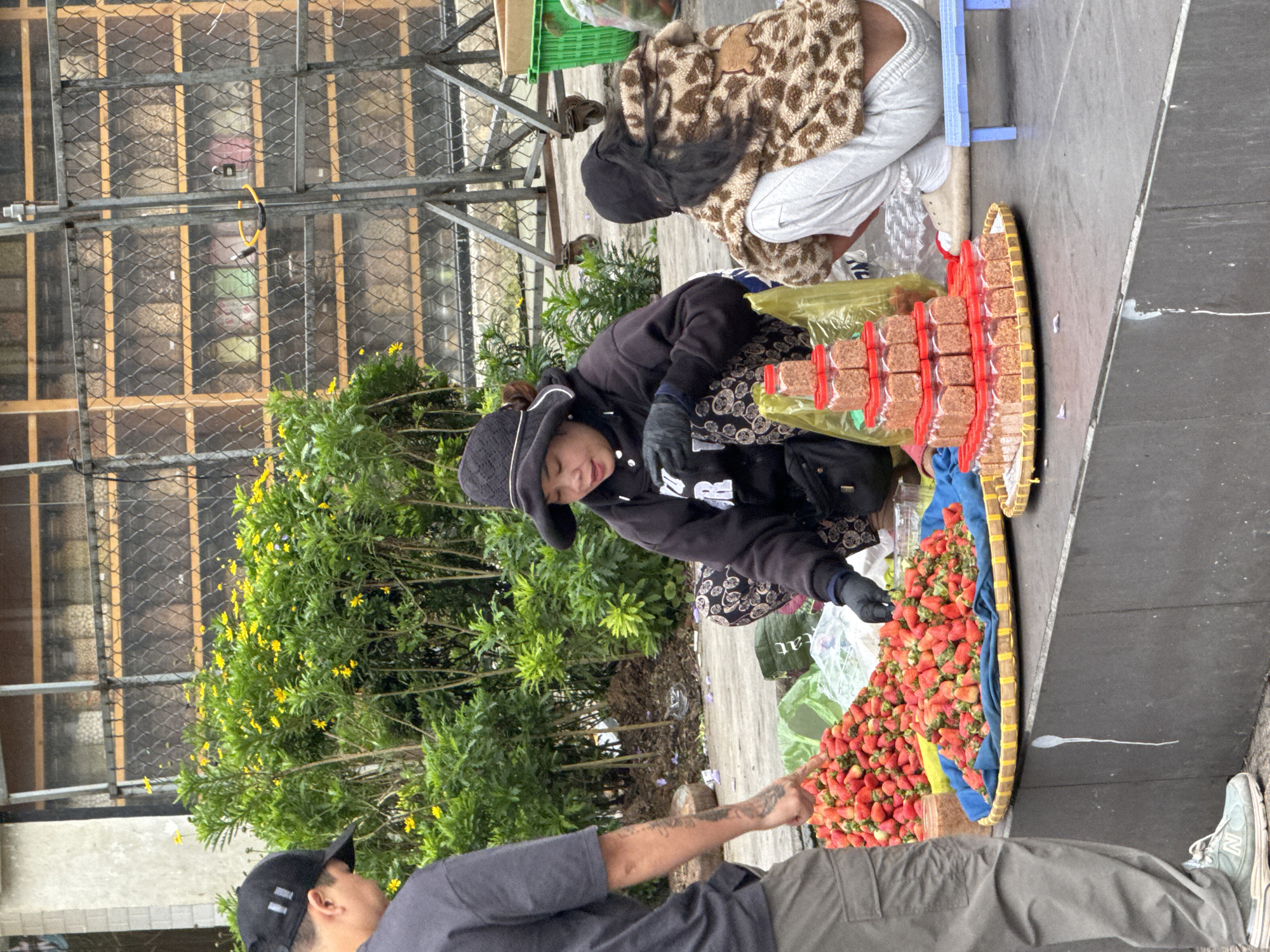 This image captures a street vending scene in Da Lat, Vietnam. In the foreground, a male individual stands on the left, shown from the back, wearing a black baseball cap, a grey t-shirt, olive green cargo pants, and light-colored New Balance sneakers. His right arm, adorned with tattoos, is extended and pointing downwards towards the ground.
At the center, a female vendor is seated directly on the paved ground, facing left. She wears a black wide-brimmed hat, a black hooded sweatshirt with white text, and dark patterned trousers. Black gloves cover her hands as she appears to be handling products. To her right, a second individual sits on a small blue plastic stool, viewed from the back. This person wears a brown and beige leopard-print hooded jacket and white sweatpants, with dark hair visible.
In front of the vendor, large quantities of fresh red strawberries are displayed. One significant pile rests on a circular wicker tray lined with blue fabric, while another pile is contained within a green plastic bag on the ground. Adjacent to the strawberries, a pyramid-shaped stack of small, square, clear plastic jars with red lids, each containing a finely textured brown substance, is arranged on another circular wicker tray. Additional plastic bags, some clear, are scattered on the ground.
The immediate ground surface is paved, exhibiting minor marks and some white drippings. Behind the people, a dense row of green bushes with numerous small yellow flowers forms a natural barrier. In the background, a metal chain-link fence extends horizontally, featuring a yellow padlock near its center. Behind the fence, a structure with multiple window-like openings reveals interior shelving, displaying various items that appear to be stored goods or supplies.