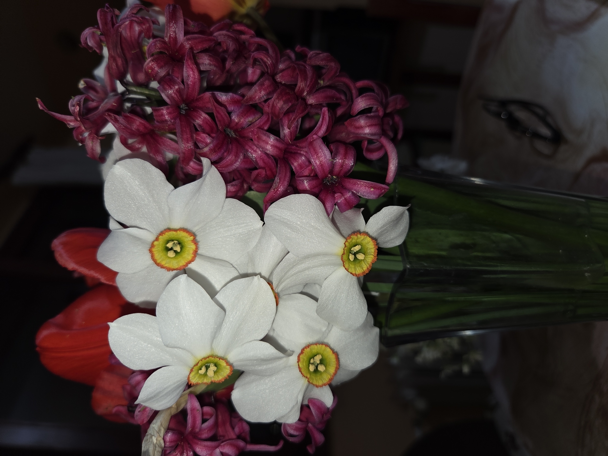 A close-up, still-life photograph shows a bouquet of flowers arranged in a clear glass vase. The bouquet includes white daffodils with yellow and green centers, maroon hyacinths, and a red tulip partially visible on the left. The vase reflects the flowers. In the background, a pair of glasses rests on a light surface. The image's precise location within Pleven, Bulgaria, is not discernible from the visual data.