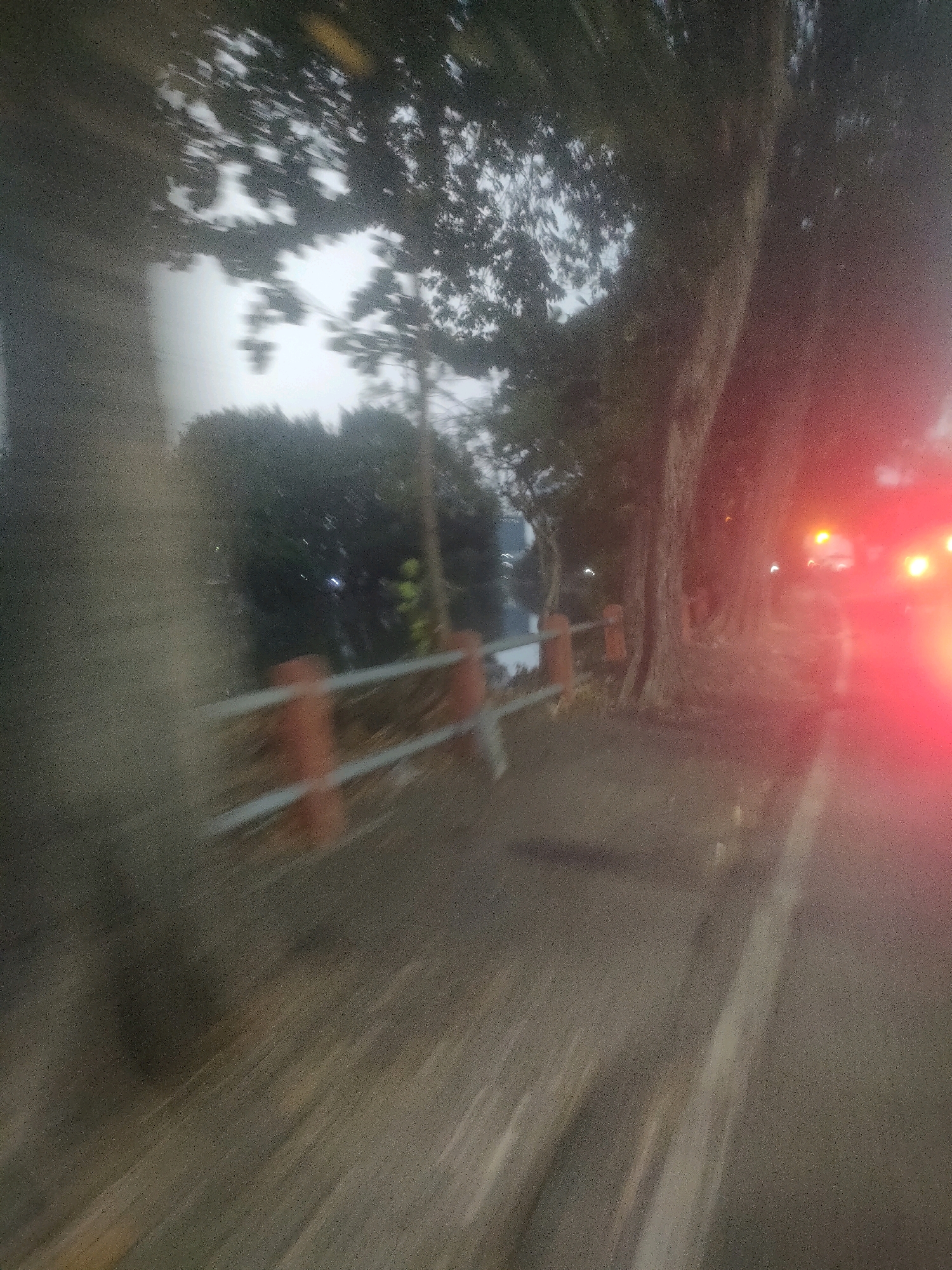 This is a blurry, motion-filled photograph taken from a moving vehicle, likely in Surabaya, Indonesia. The scene depicts a road alongside a body of water, possibly a river or canal, bordered by a low railing with orange posts and gray metal bars. Tall trees with textured bark line the right side of the road, casting shadows on the asphalt. The sky is overcast and appears to be either dawn or dusk. In the background, there are more trees and some indistinct structures. On the far right, bright red and yellow lights from another vehicle are visible, suggesting traffic. The overall impression is of a street scene in a tropical or subtropical city, captured during a moment of transit.