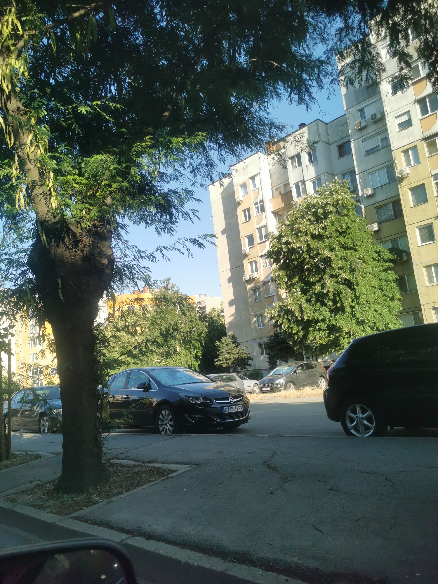 This media file shows a street scene in Stara Zagora, Bulgaria. Several cars are parked along the side of the road, including a black Opel Astra with the license plate CT 8571 PX, a dark colored SUV, and a silver Peugeot. Behind the cars, there are apartment buildings with visible air conditioning units and windows. Large trees with green foliage line the street, with one prominent tree in the foreground. The sky is clear and blue, suggesting a sunny day. The lighting indicates it is daytime, likely late morning or afternoon. The scene appears to be a residential area. There is no activity or event taking place; it is a static depiction of a street.