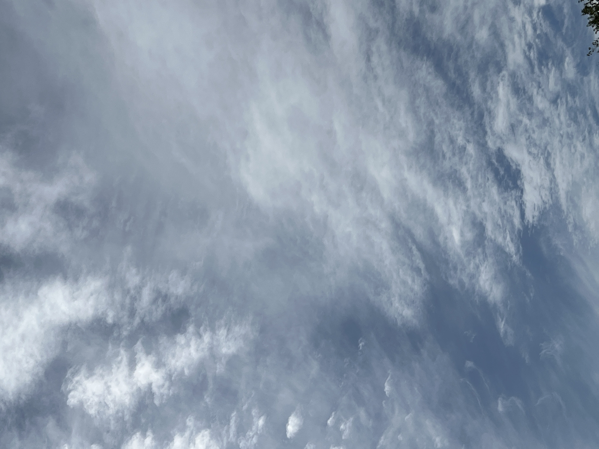 The image shows a cloudy sky with the clouds appearing to be of various densities and formations. Some clouds are wispy and scattered, while others are more dense and cover larger areas. The sky is a muted blue-gray, suggesting an overcast or partially cloudy day. There is no visible indication of the city of Ridder, Kazakhstan, or any specific geographic features within the image itself. The image is solely focused on the sky and clouds.