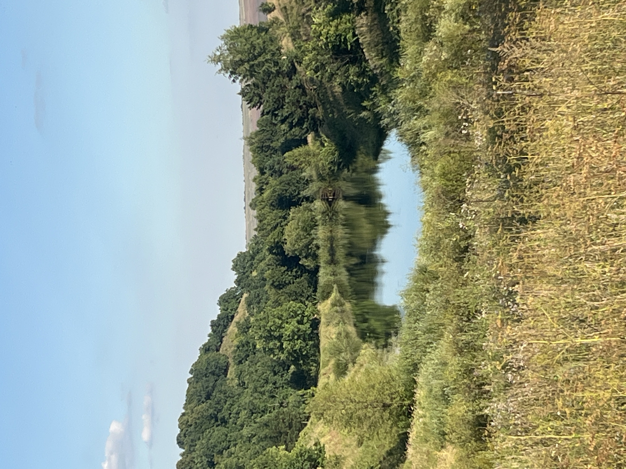A serene, high-angle view captures a small, placid lake nestled within a lush, green landscape. The lake's surface reflects the surrounding trees and the clear blue sky, creating a mirror image. Dense foliage, a mix of deciduous and coniferous trees, covers rolling hills that frame the body of water. The foreground is a tapestry of tall grasses and wildflowers, suggesting a natural, uncultivated environment. The overall impression is one of peaceful seclusion in a rural setting. The location is identified as Srednie Pinyachi, Russia.