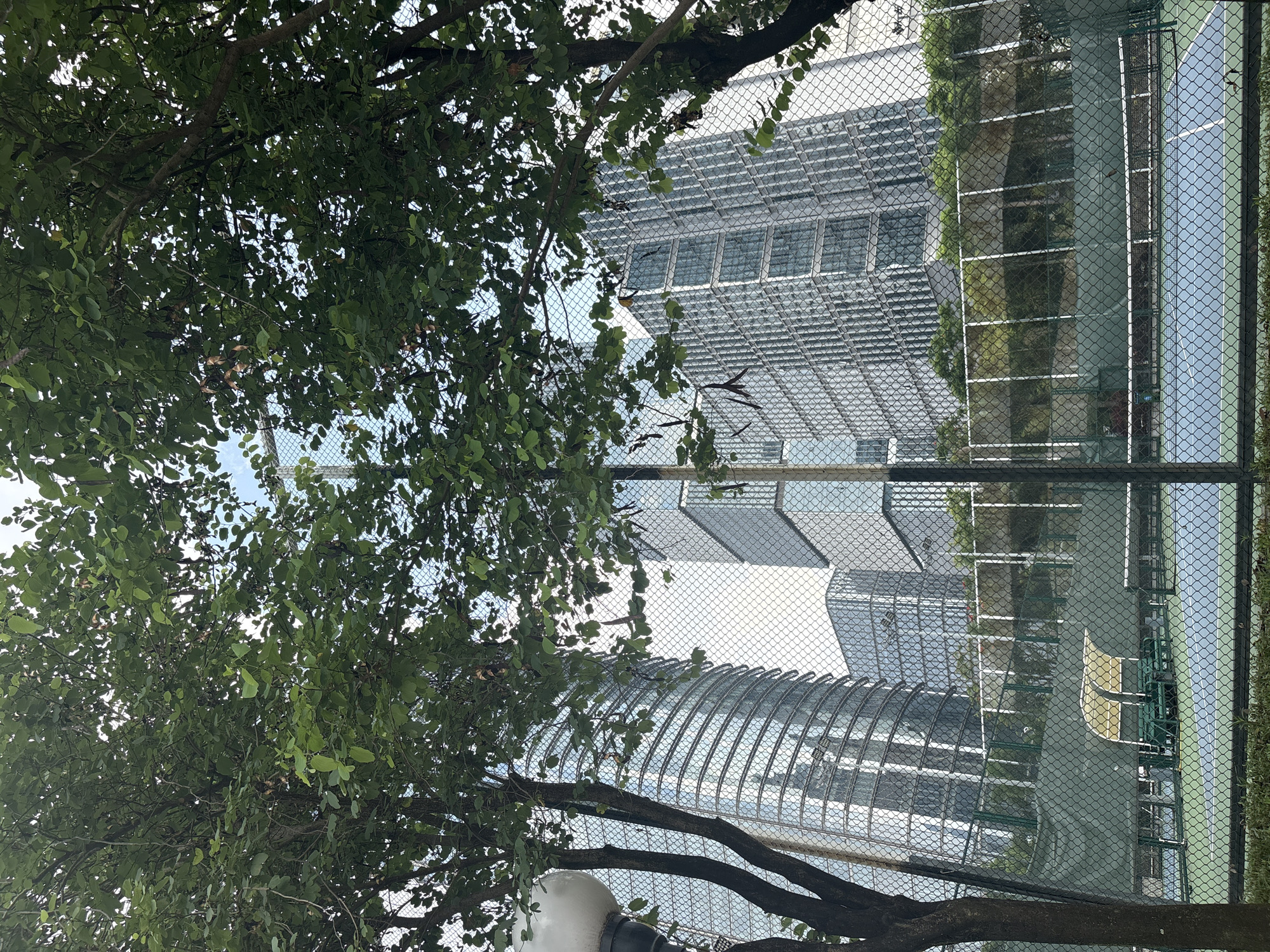 The image shows a tennis court in Tianhe District, China, framed by trees and a chain-link fence. Modern high-rise buildings with glass facades dominate the background, suggesting an urban setting. The tennis court is visible, with blue and green surfaces and a net. There are benches with green coverings and yellow awnings behind the court. The trees in the foreground have green leaves and some dried seed pods. The sky is overcast.